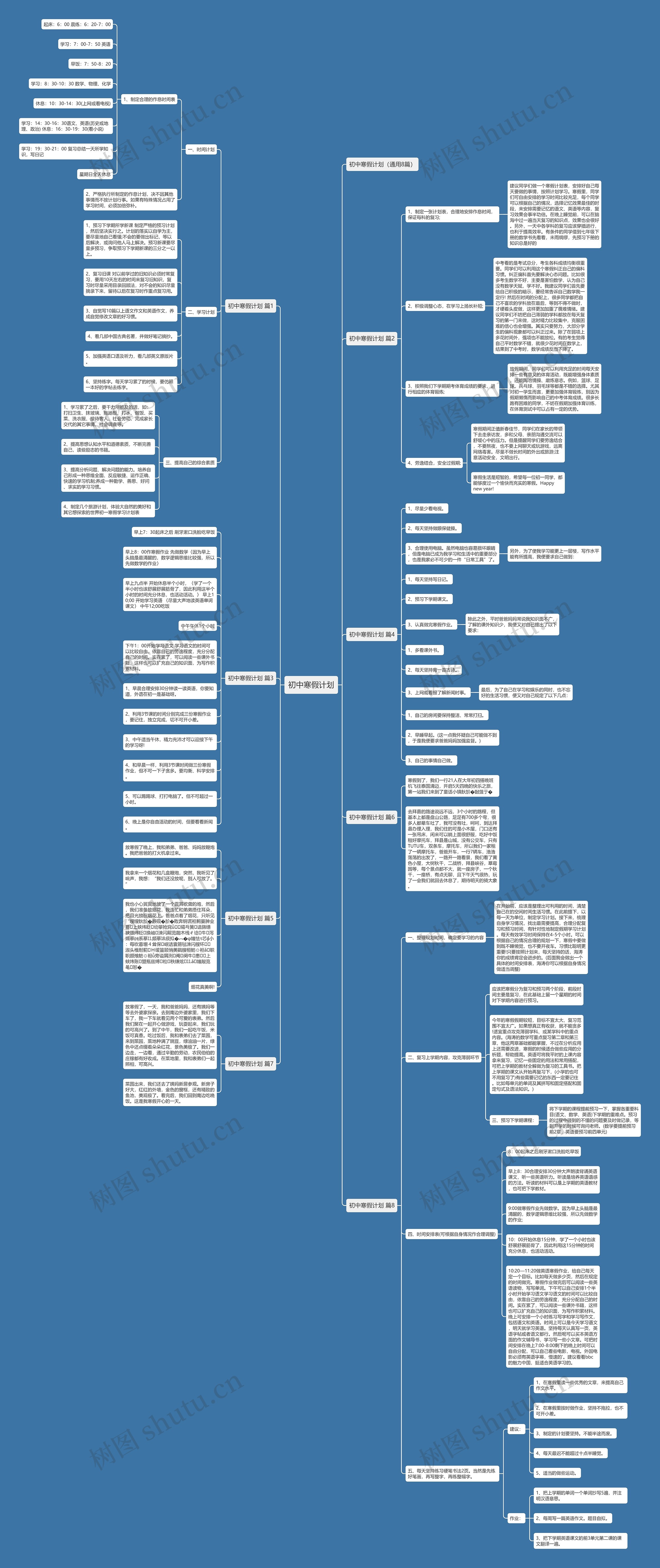 初中寒假计划思维导图