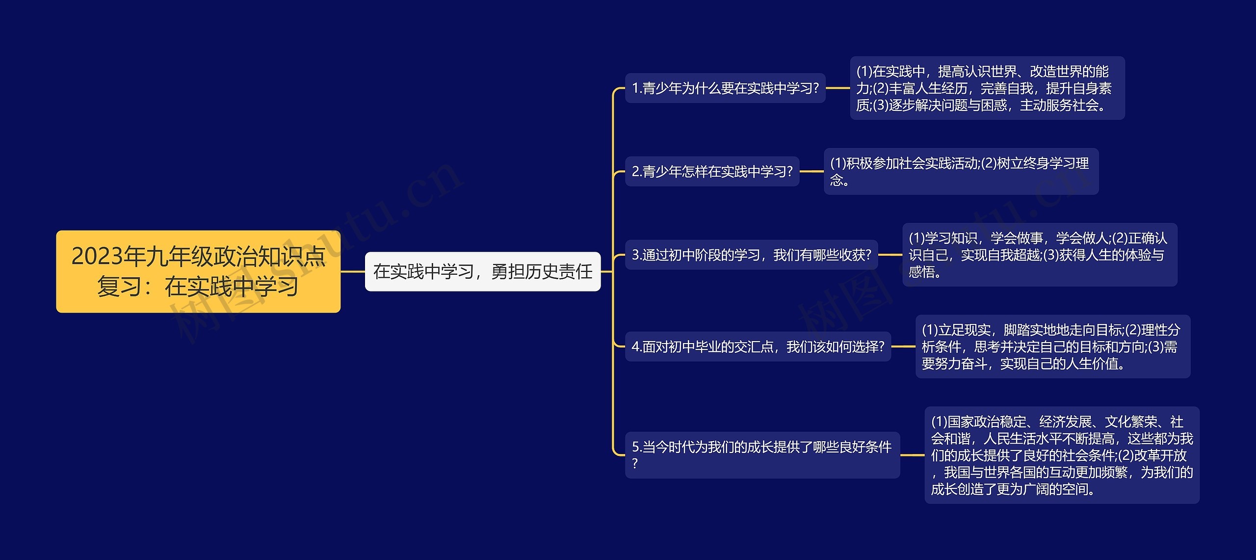 2023年九年级政治知识点复习：在实践中学习思维导图