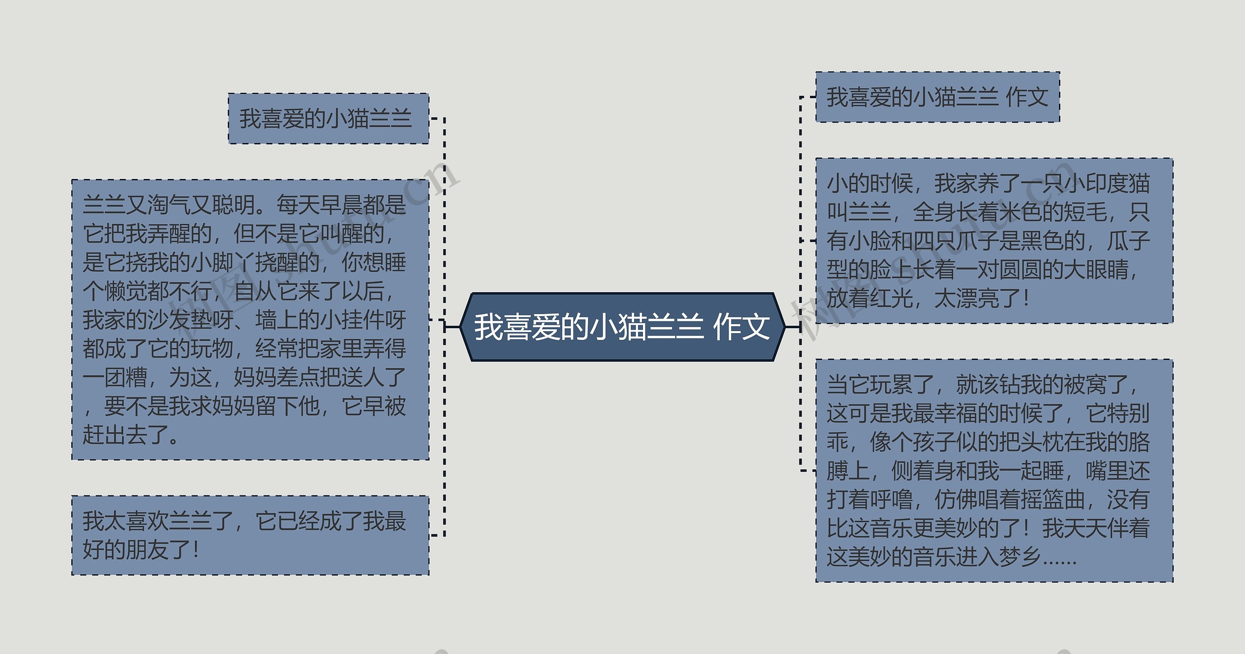 我喜爱的小猫兰兰 作文