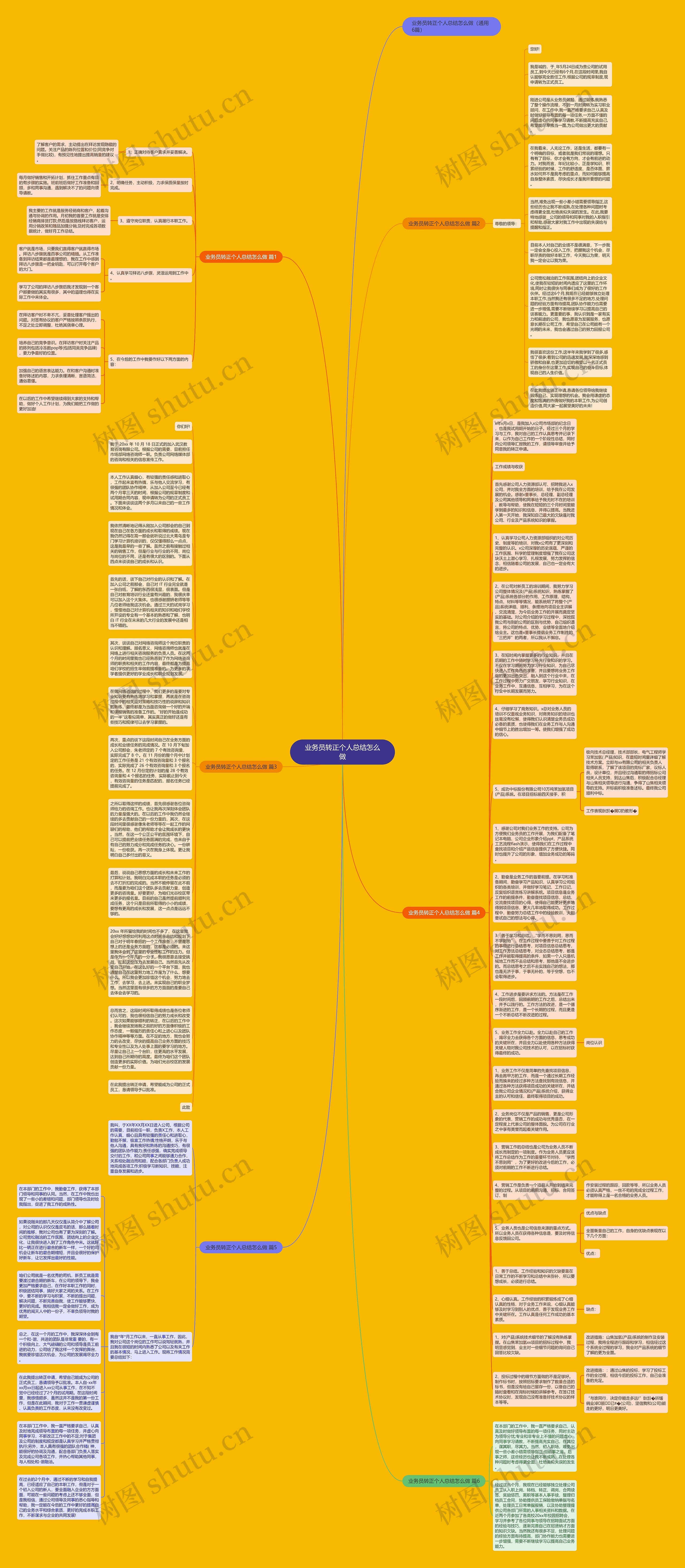 业务员转正个人总结怎么做思维导图