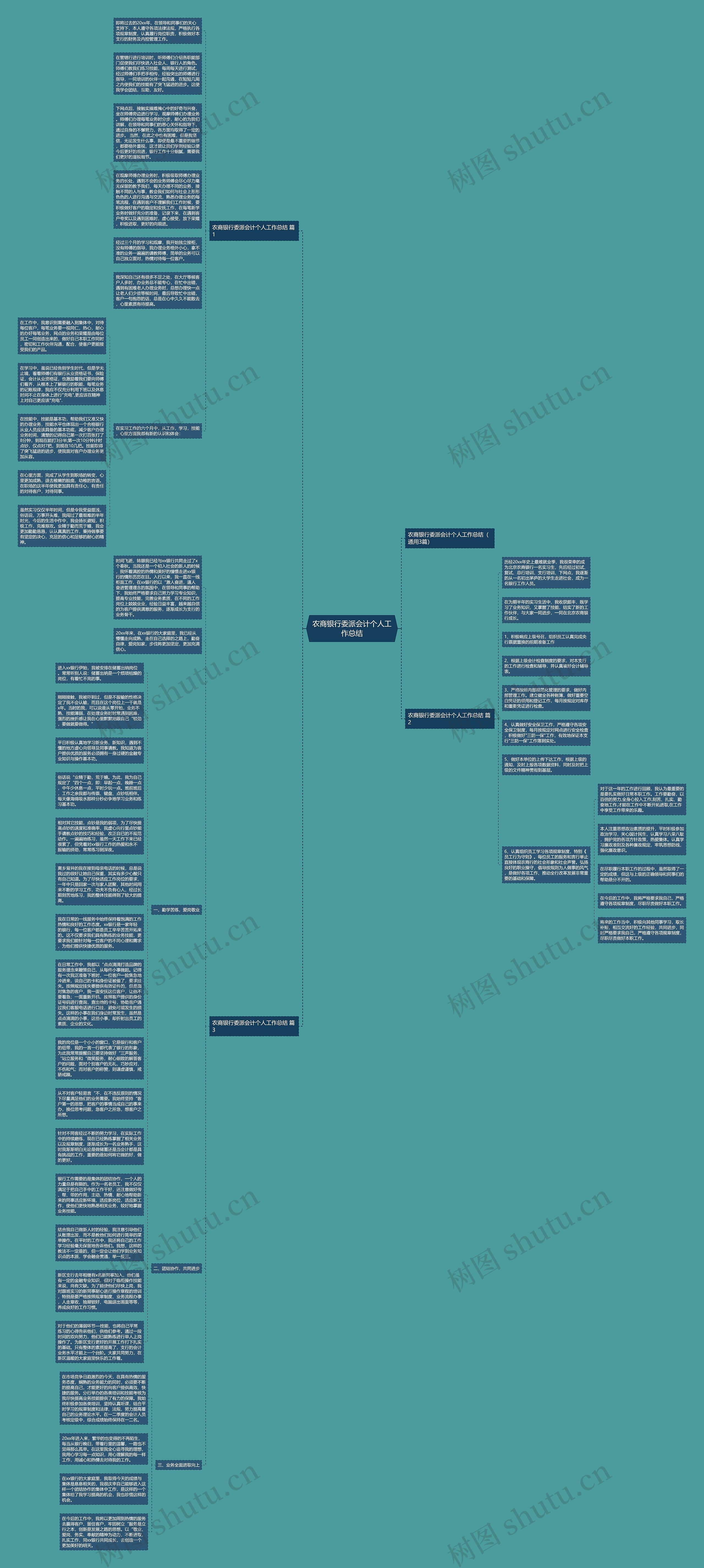 农商银行委派会计个人工作总结思维导图