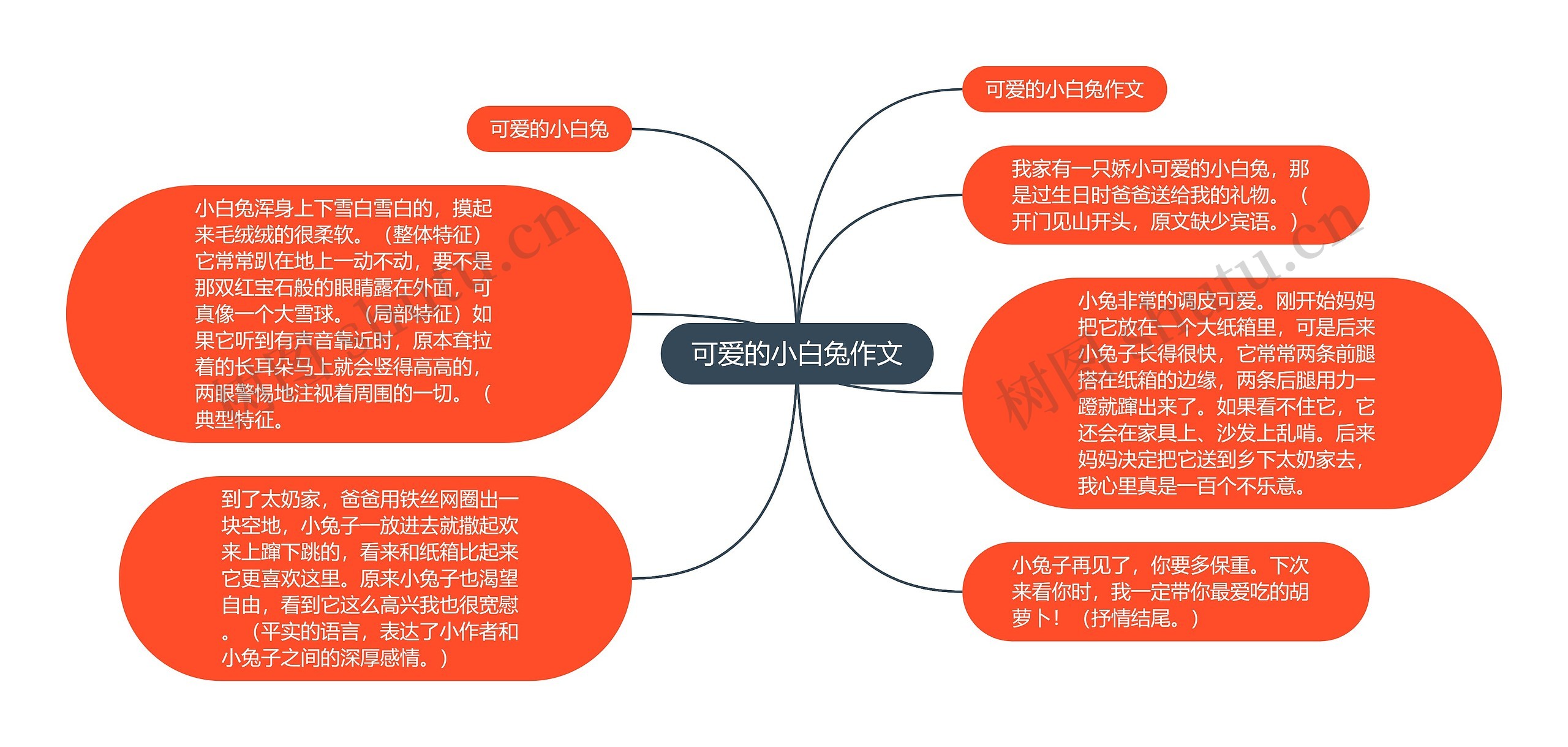 可爱的小白兔作文