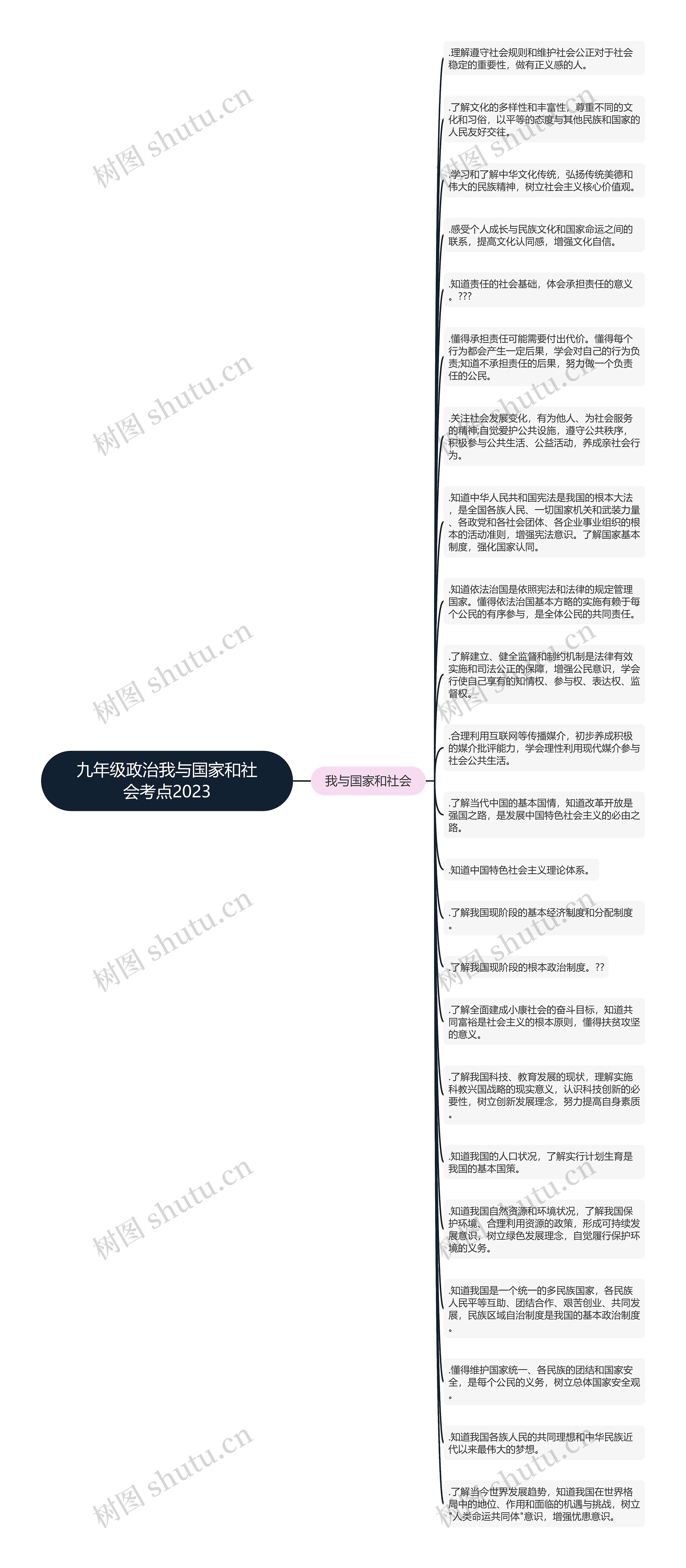 九年级政治我与国家和社会考点2023