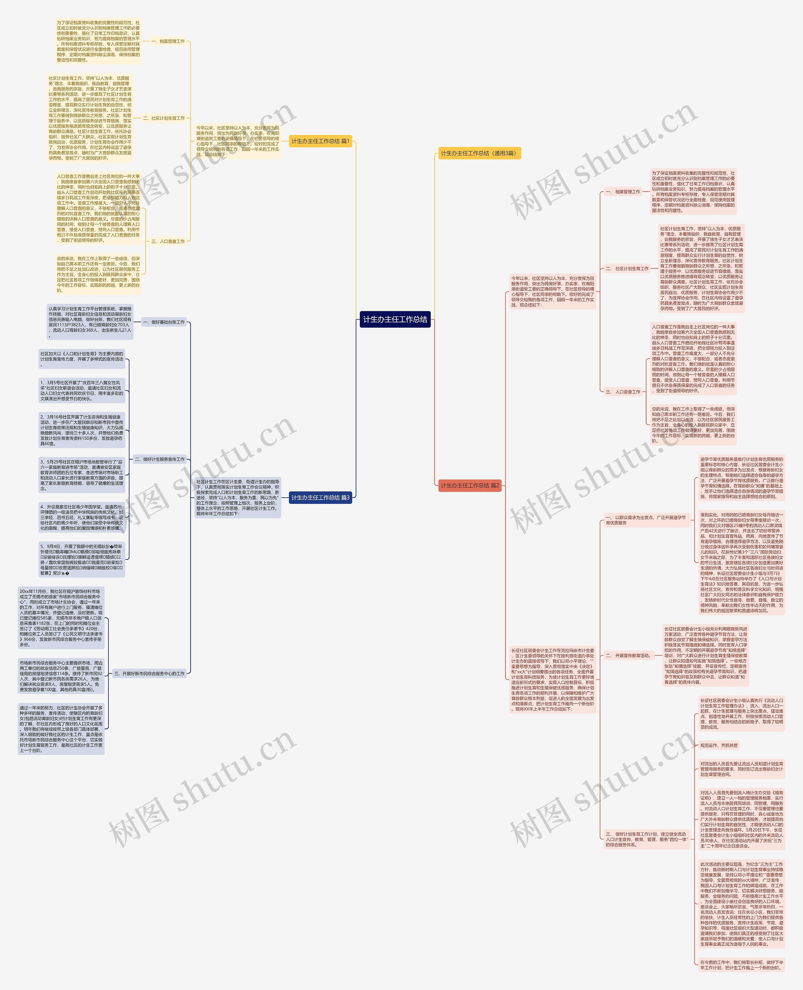 计生办主任工作总结思维导图