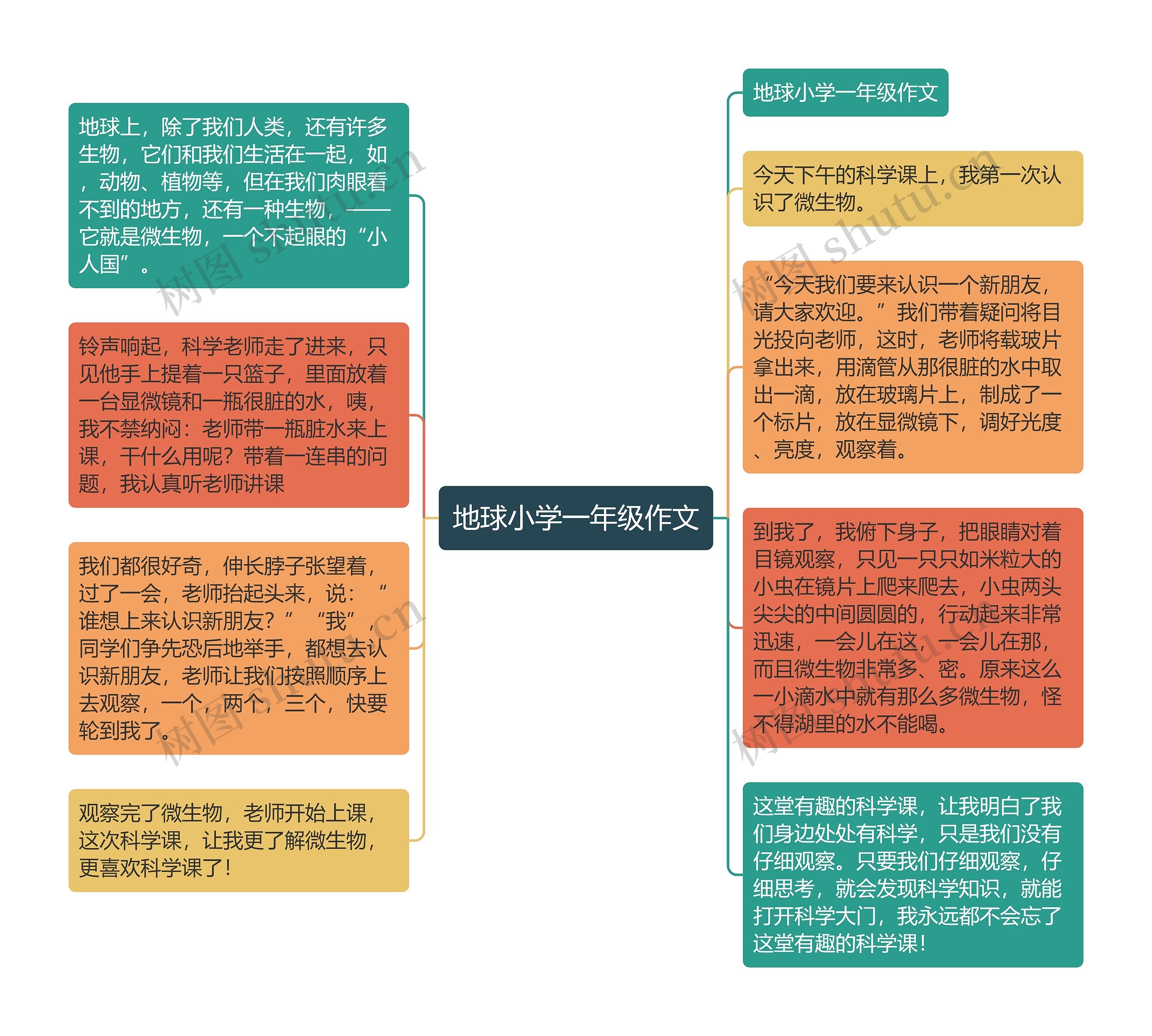 地球小学一年级作文