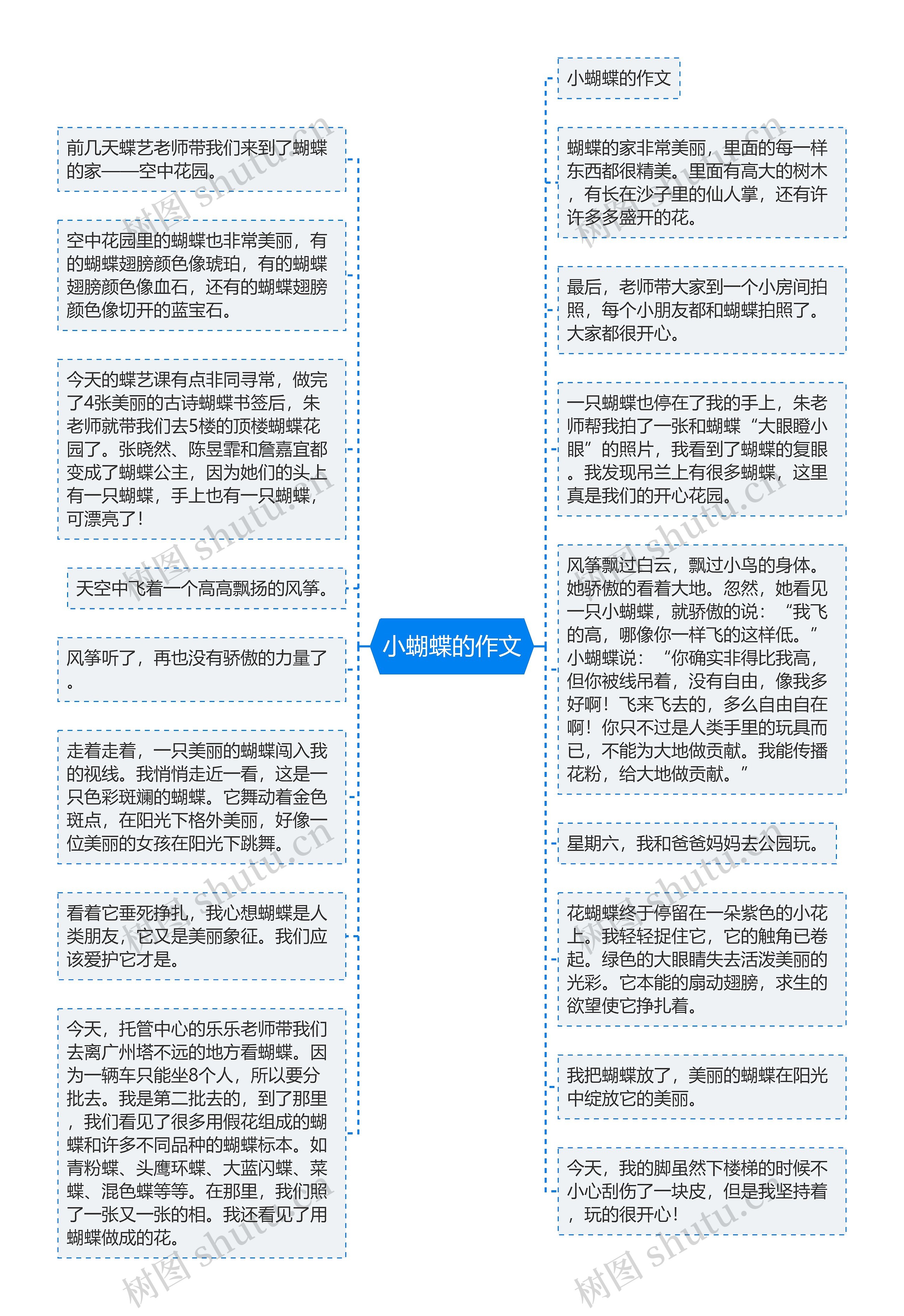 小蝴蝶的作文思维导图