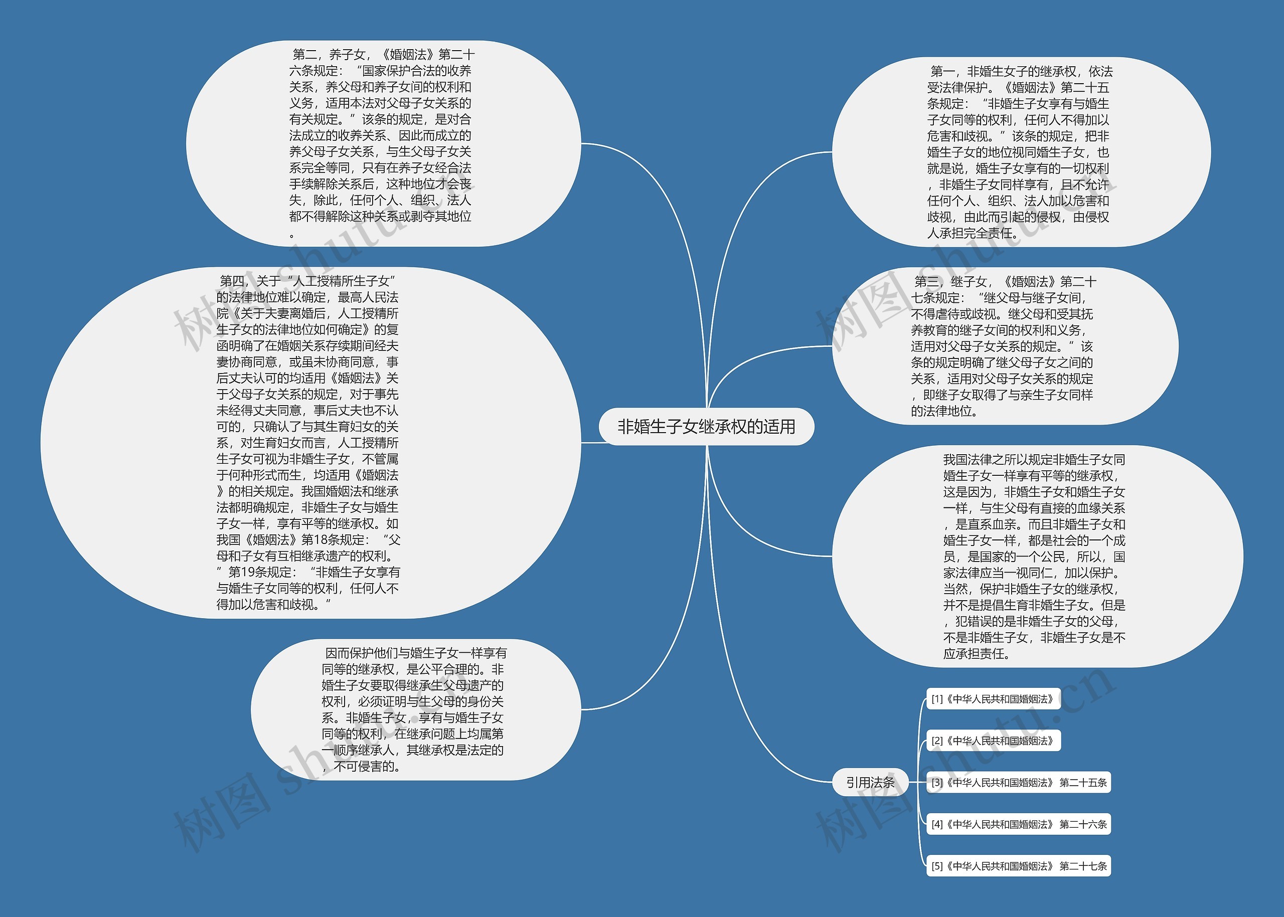 非婚生子女继承权的适用思维导图