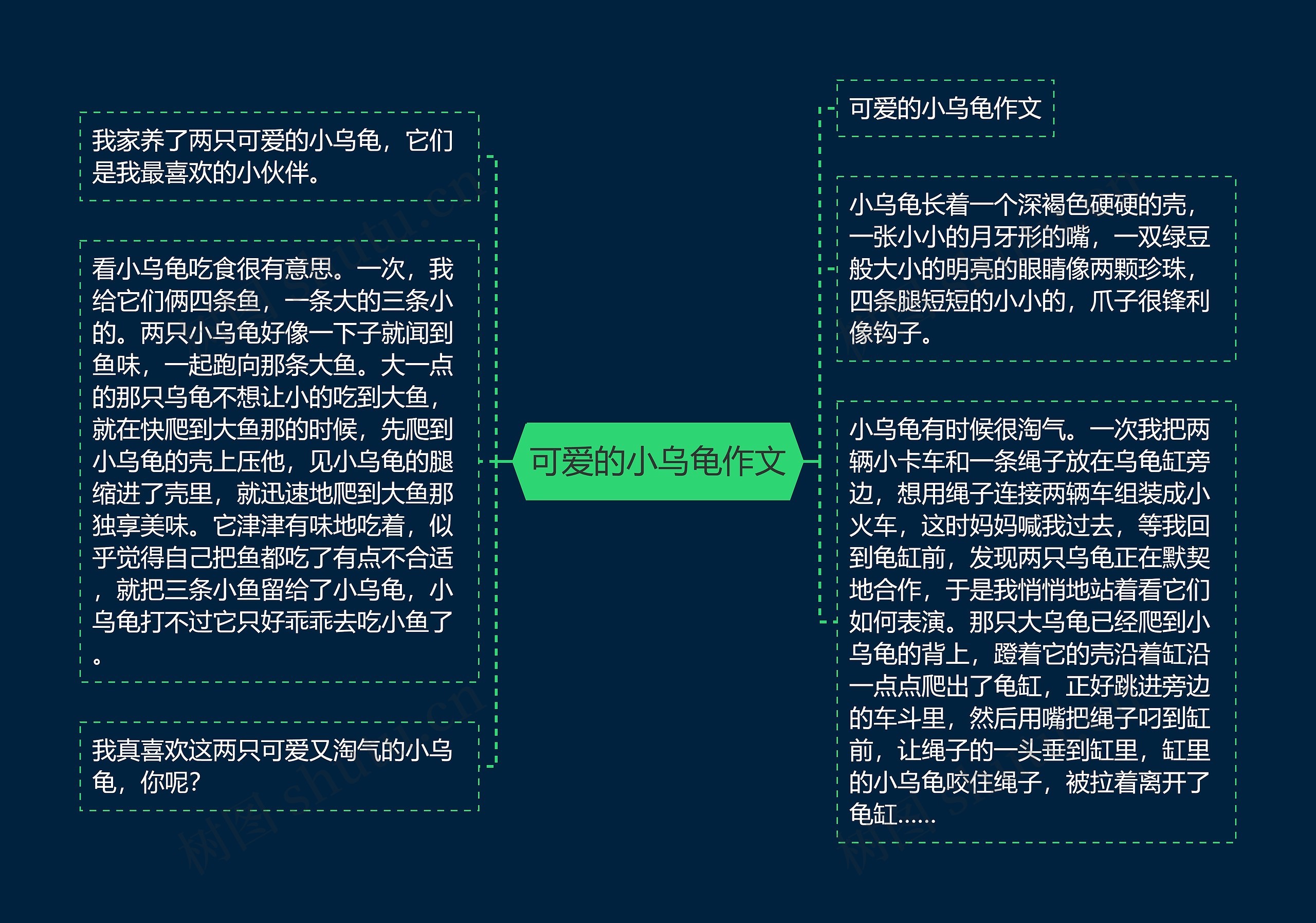 可爱的小乌龟作文思维导图