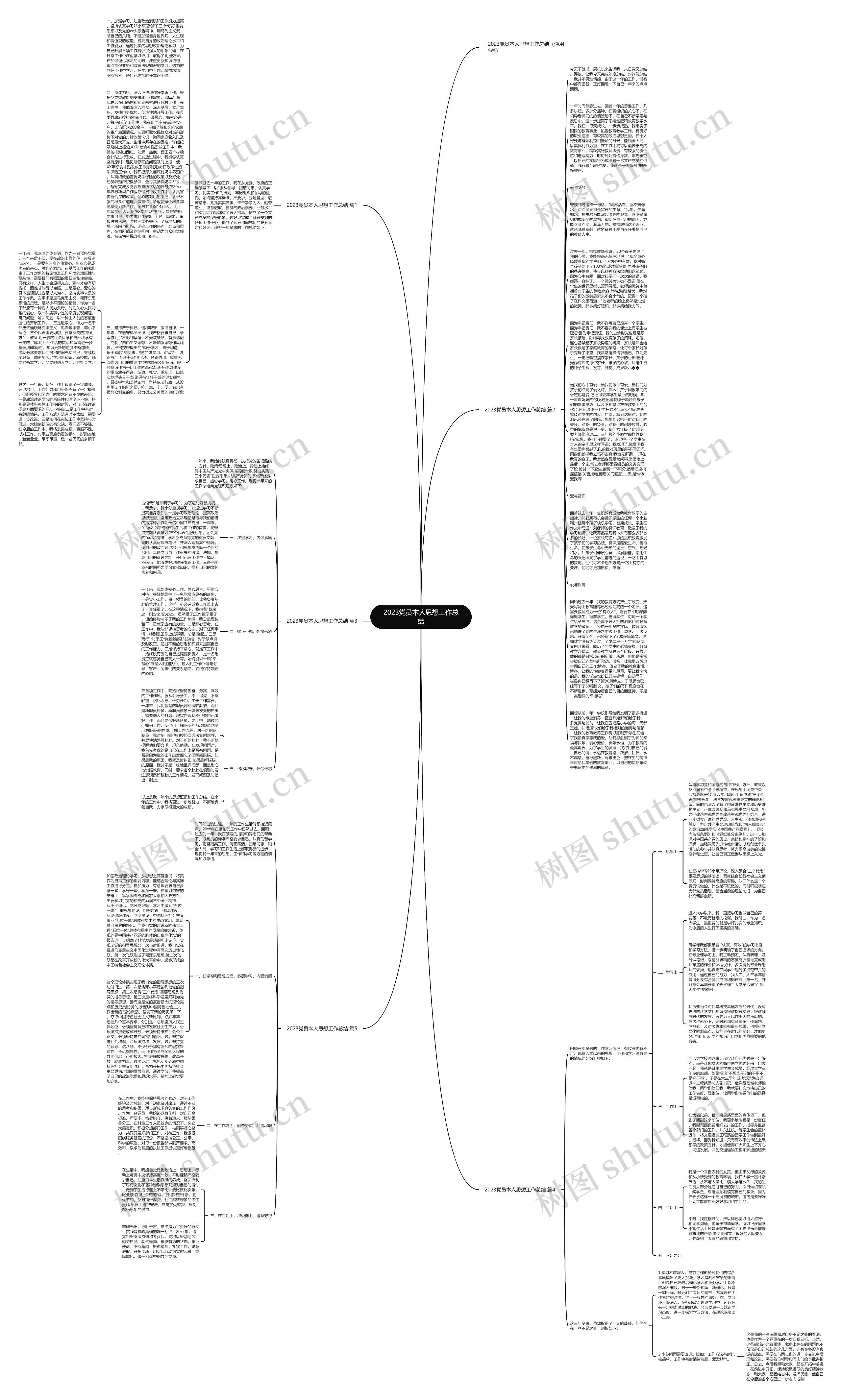 2023党员本人思想工作总结思维导图