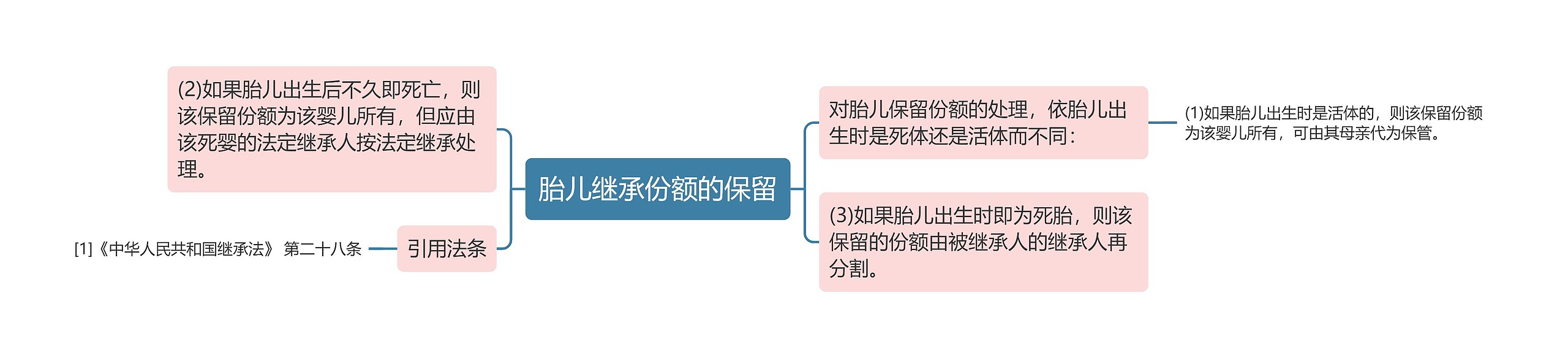 胎儿继承份额的保留思维导图