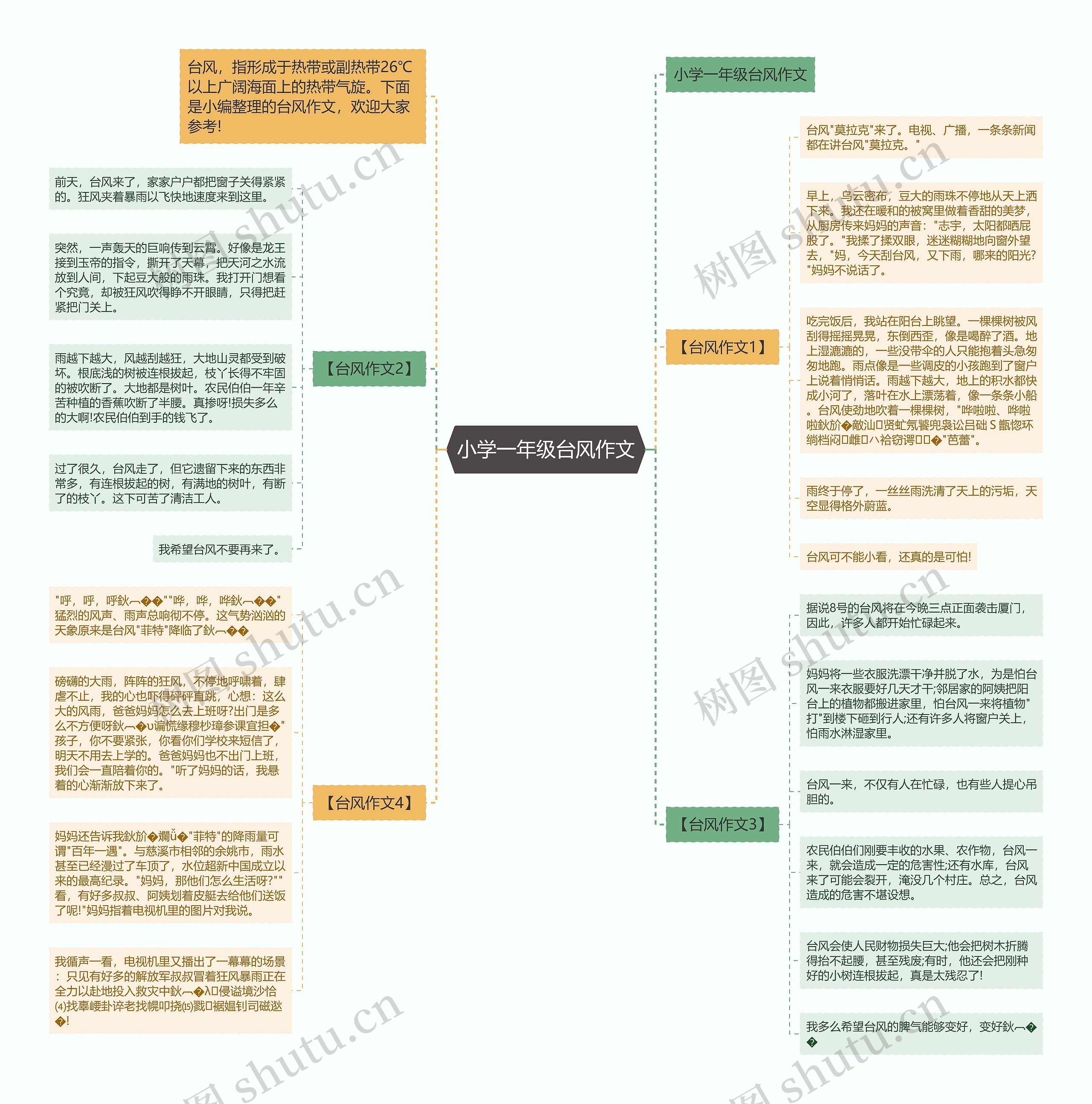 小学一年级台风作文思维导图