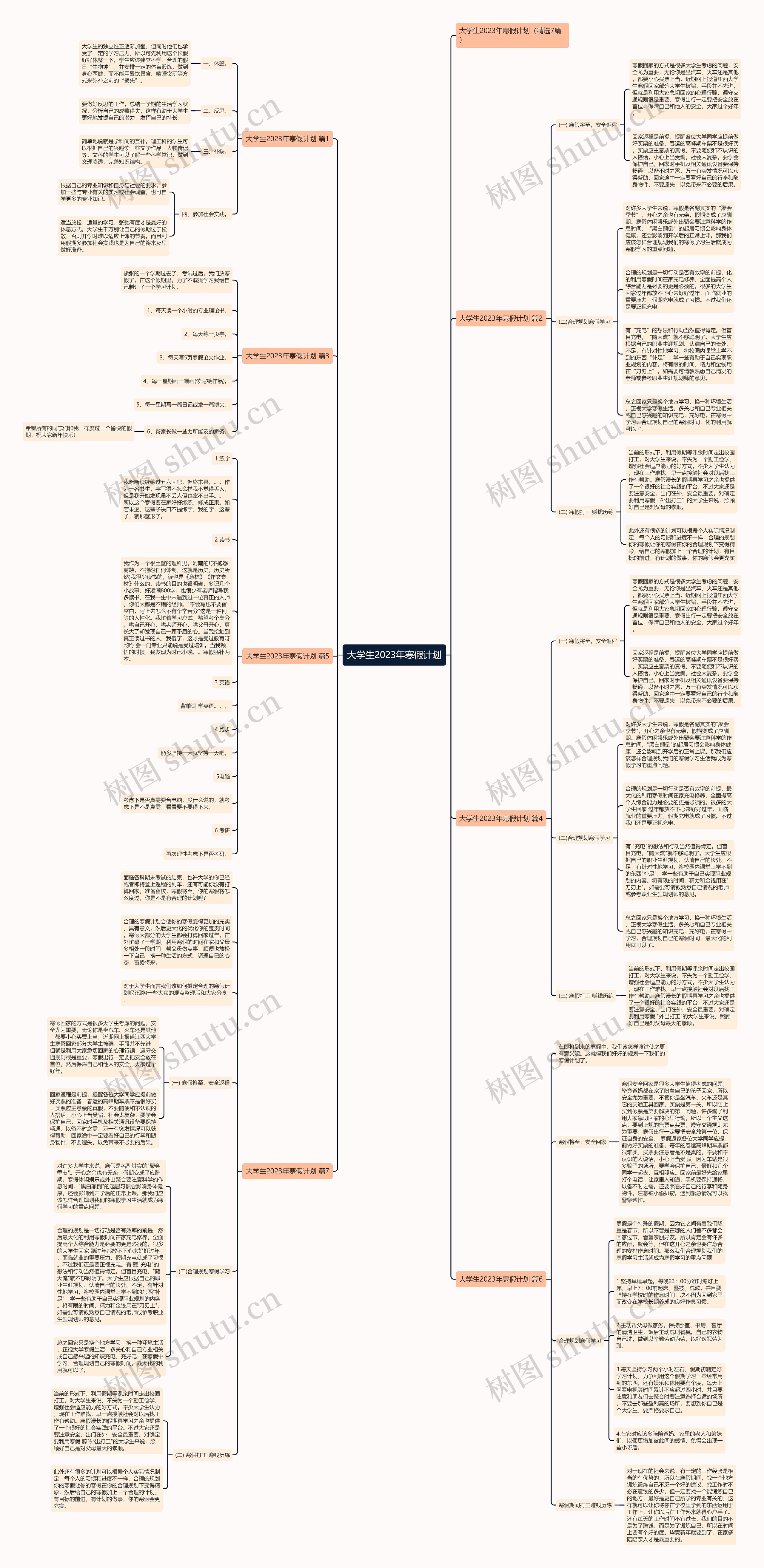 大学生2023年寒假计划思维导图
