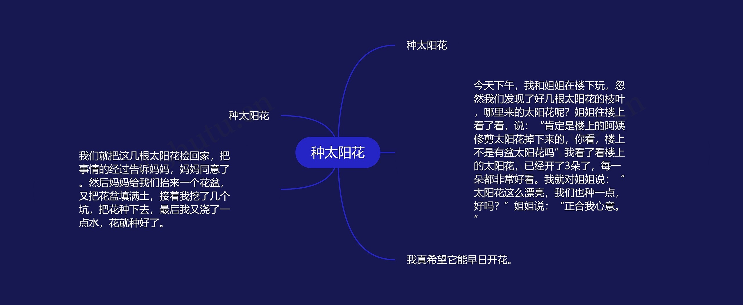 种太阳花思维导图