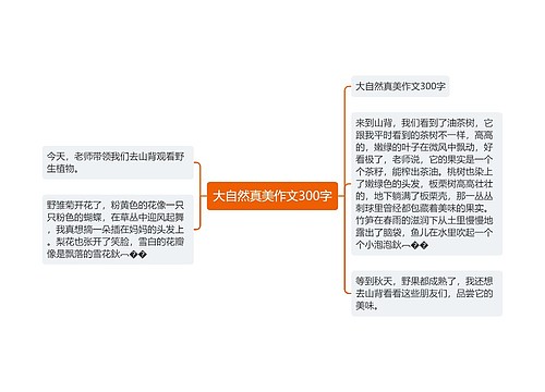 大自然真美作文300字