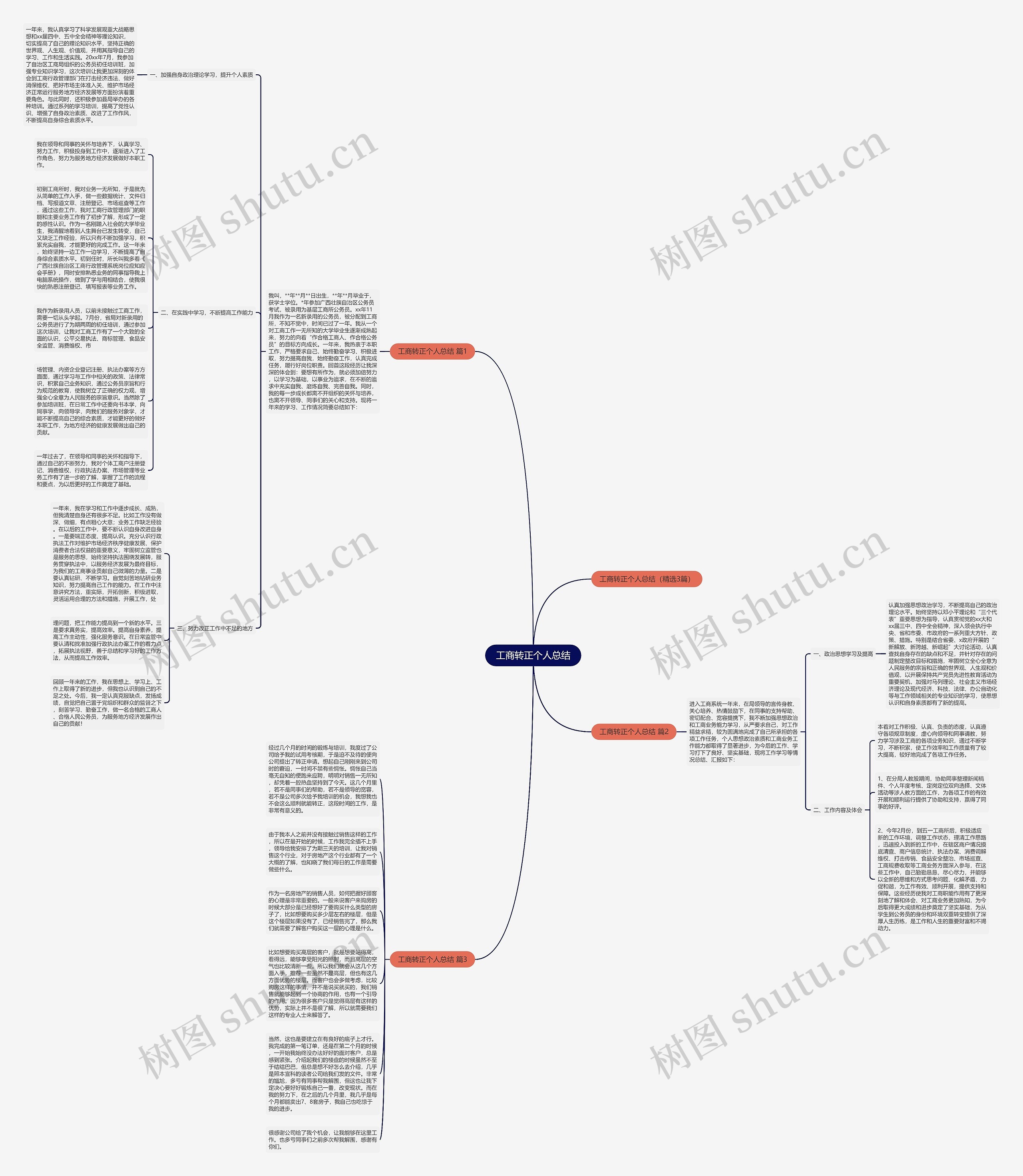 工商转正个人总结思维导图
