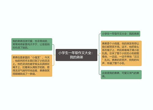 小学生一年级作文大全：我的弟弟