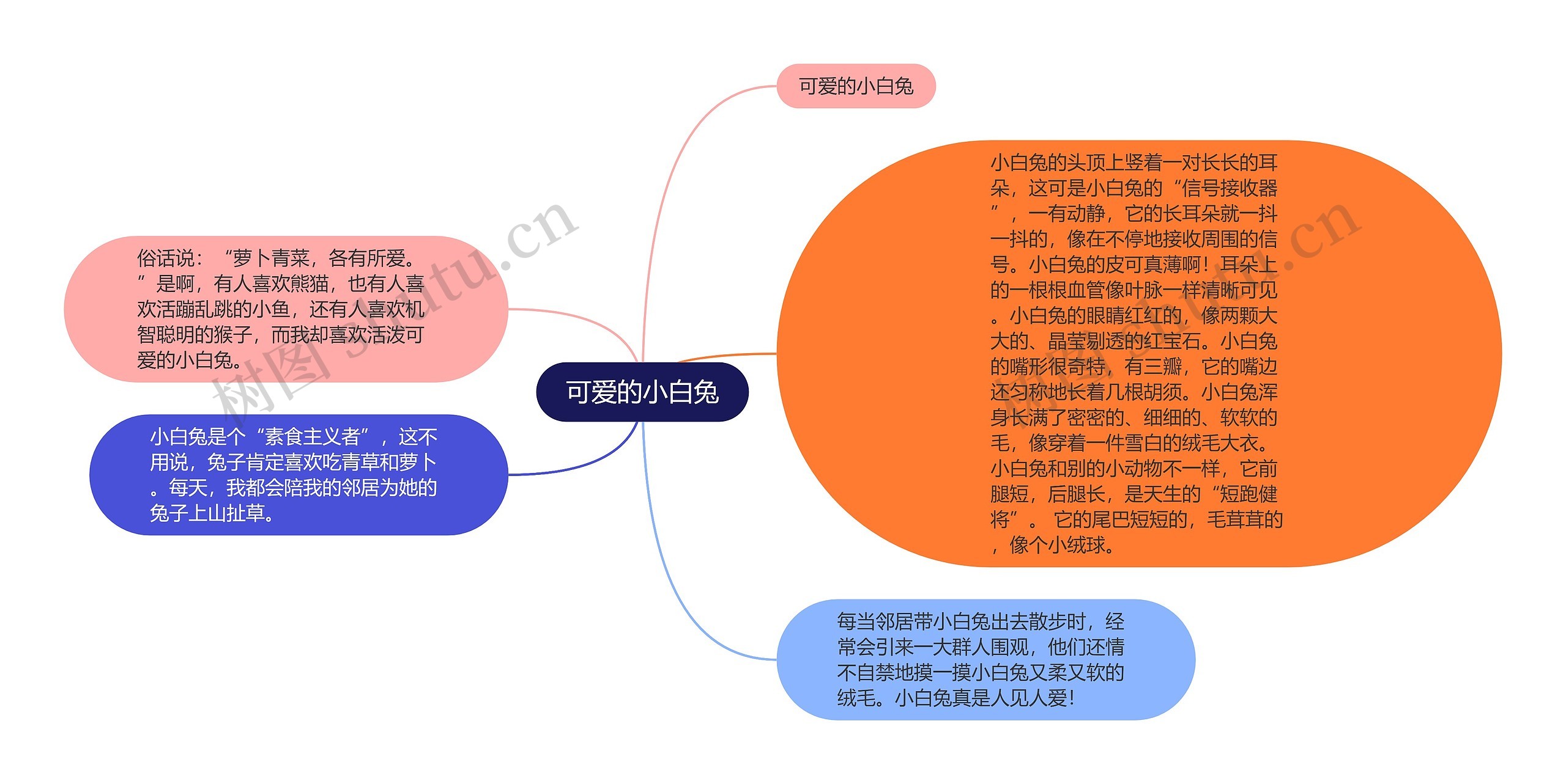 可爱的小白兔思维导图