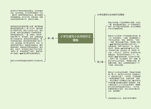 小学生描写小伙伴的作文精编