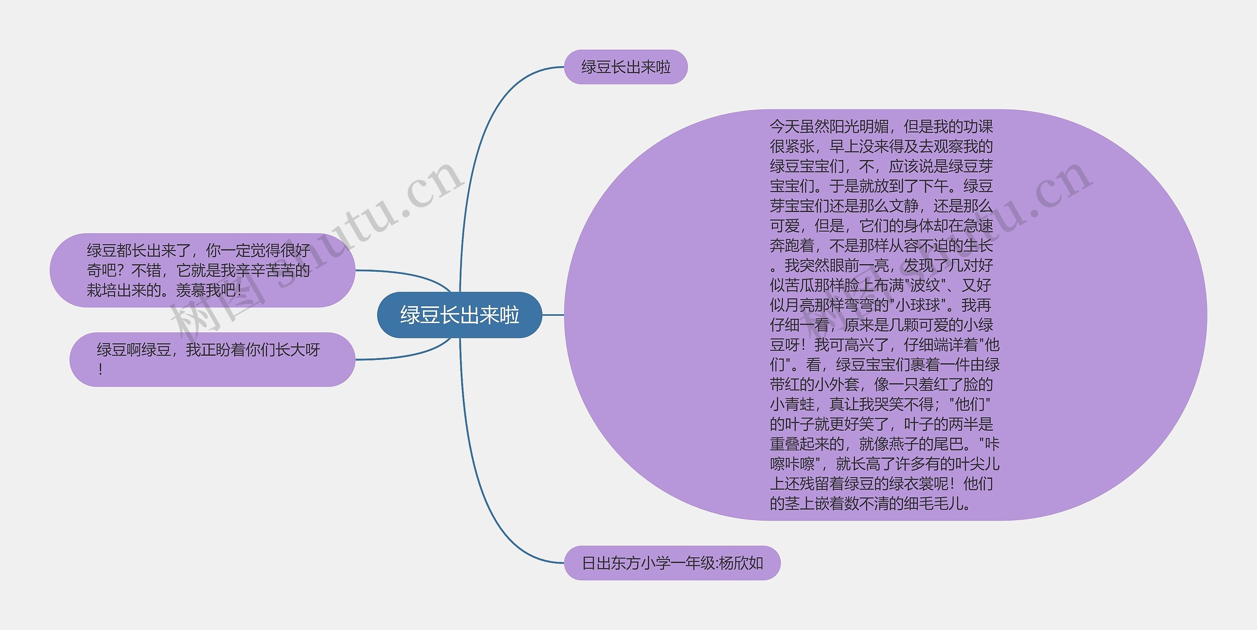 绿豆长出来啦思维导图