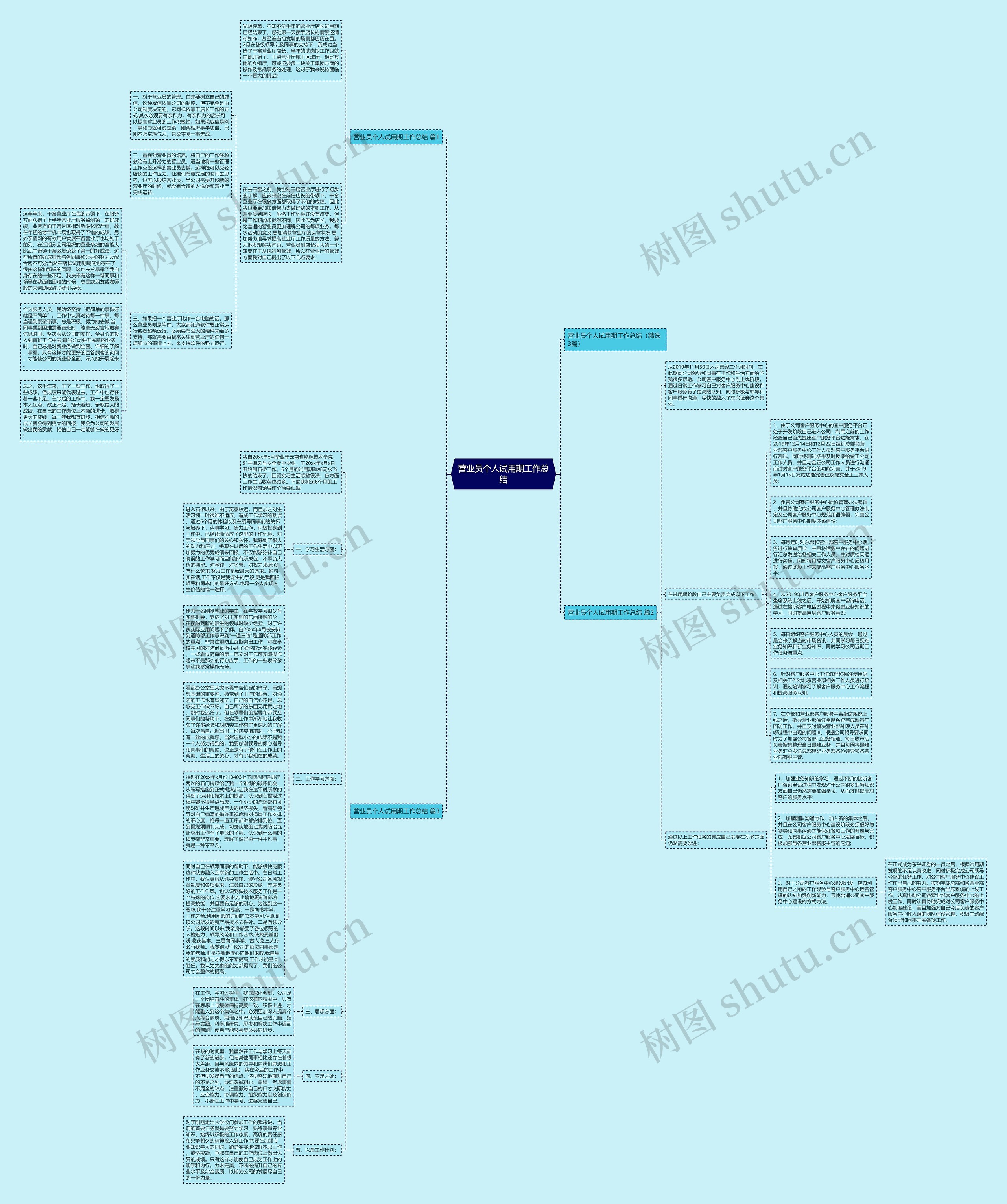 营业员个人试用期工作总结思维导图