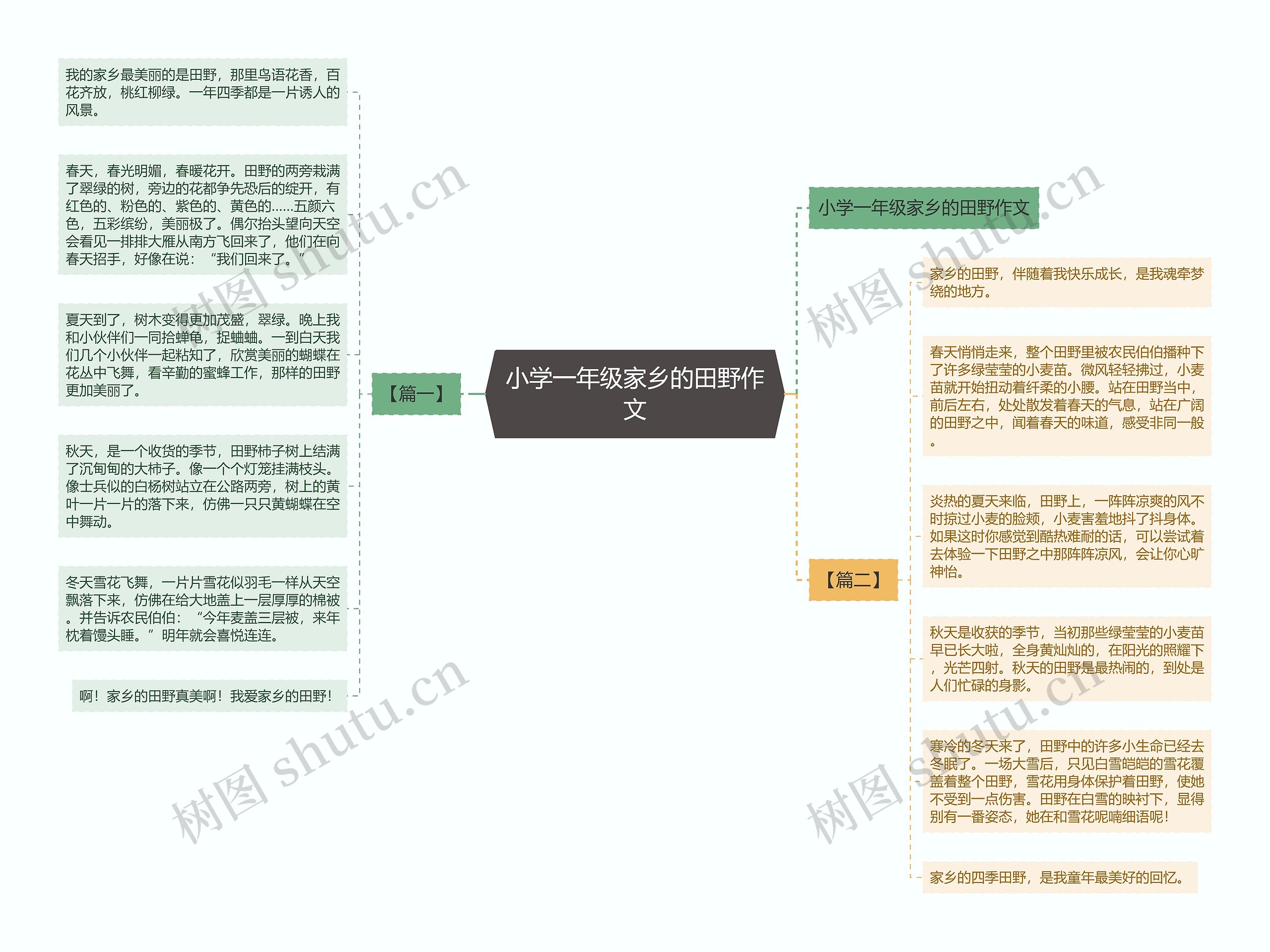 小学一年级家乡的田野作文思维导图