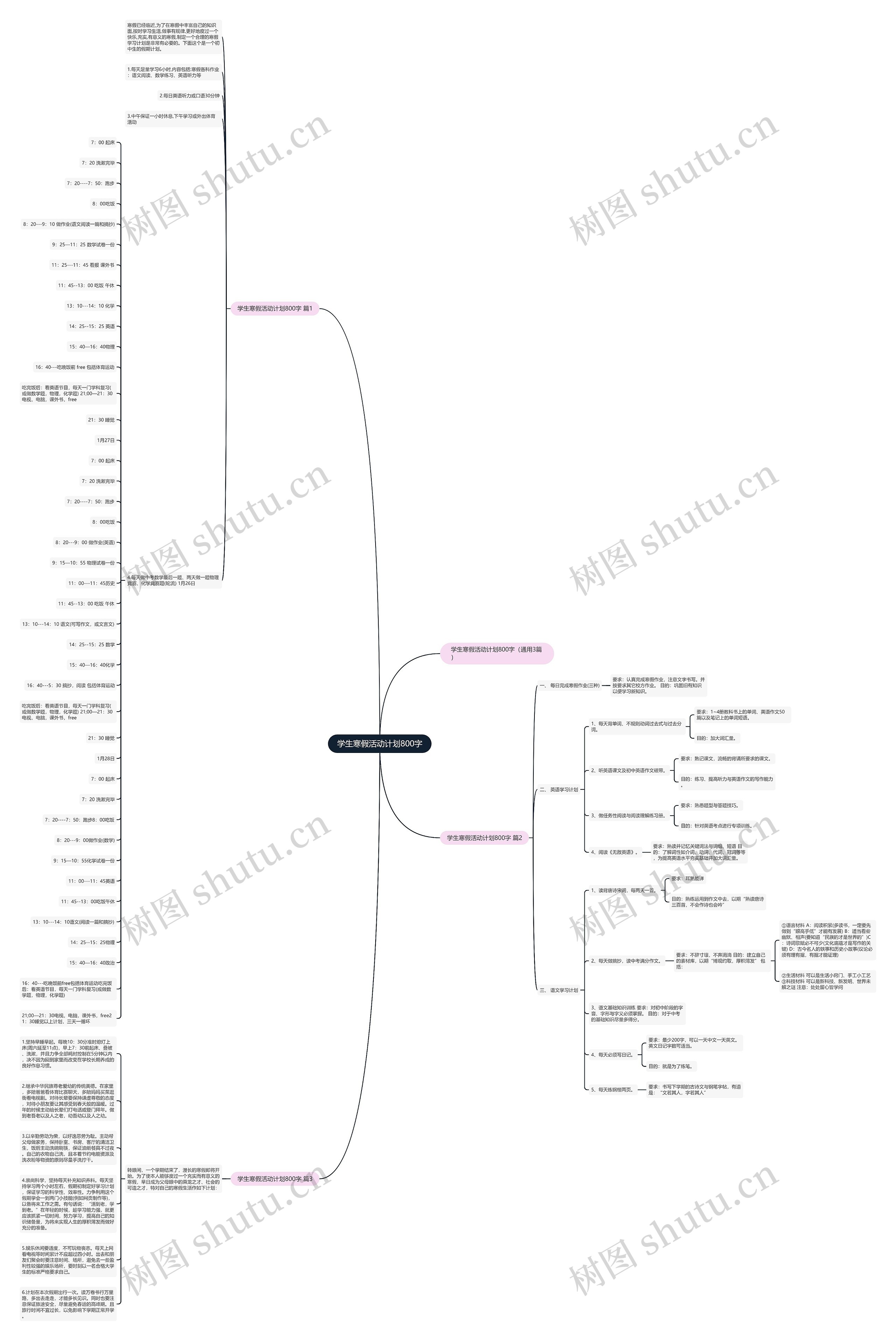学生寒假活动计划800字思维导图