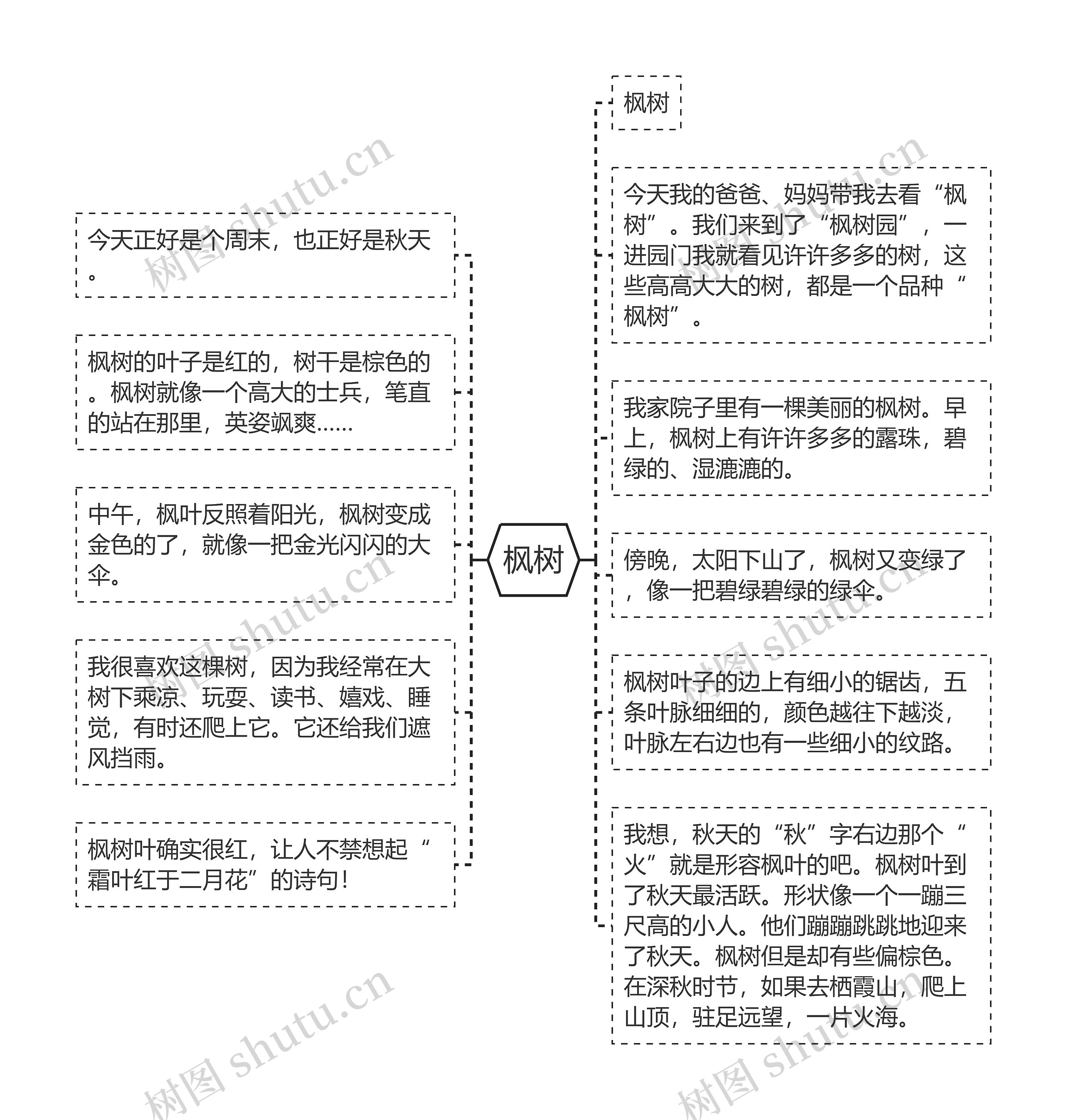 枫树思维导图