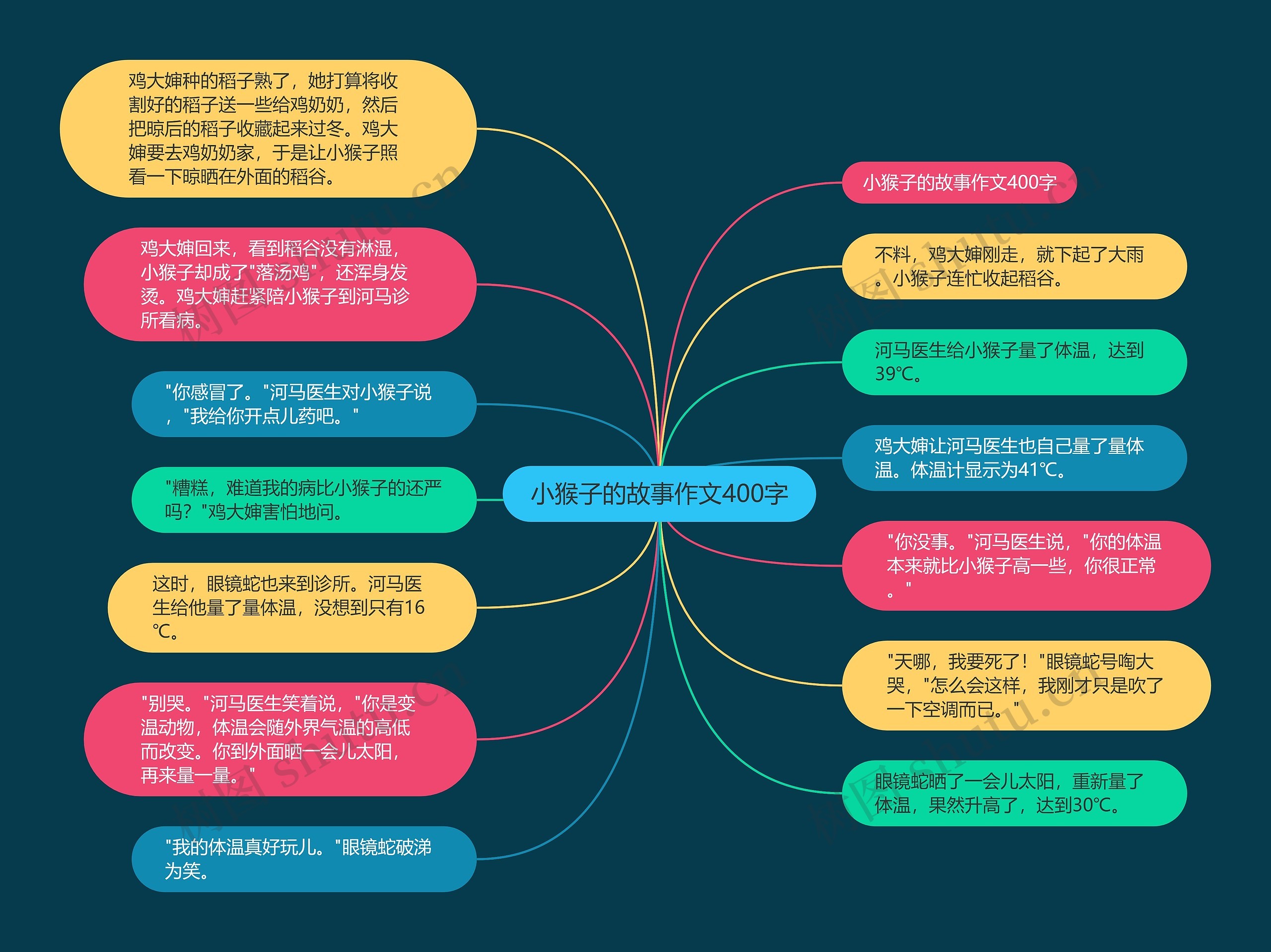 小猴子的故事作文400字