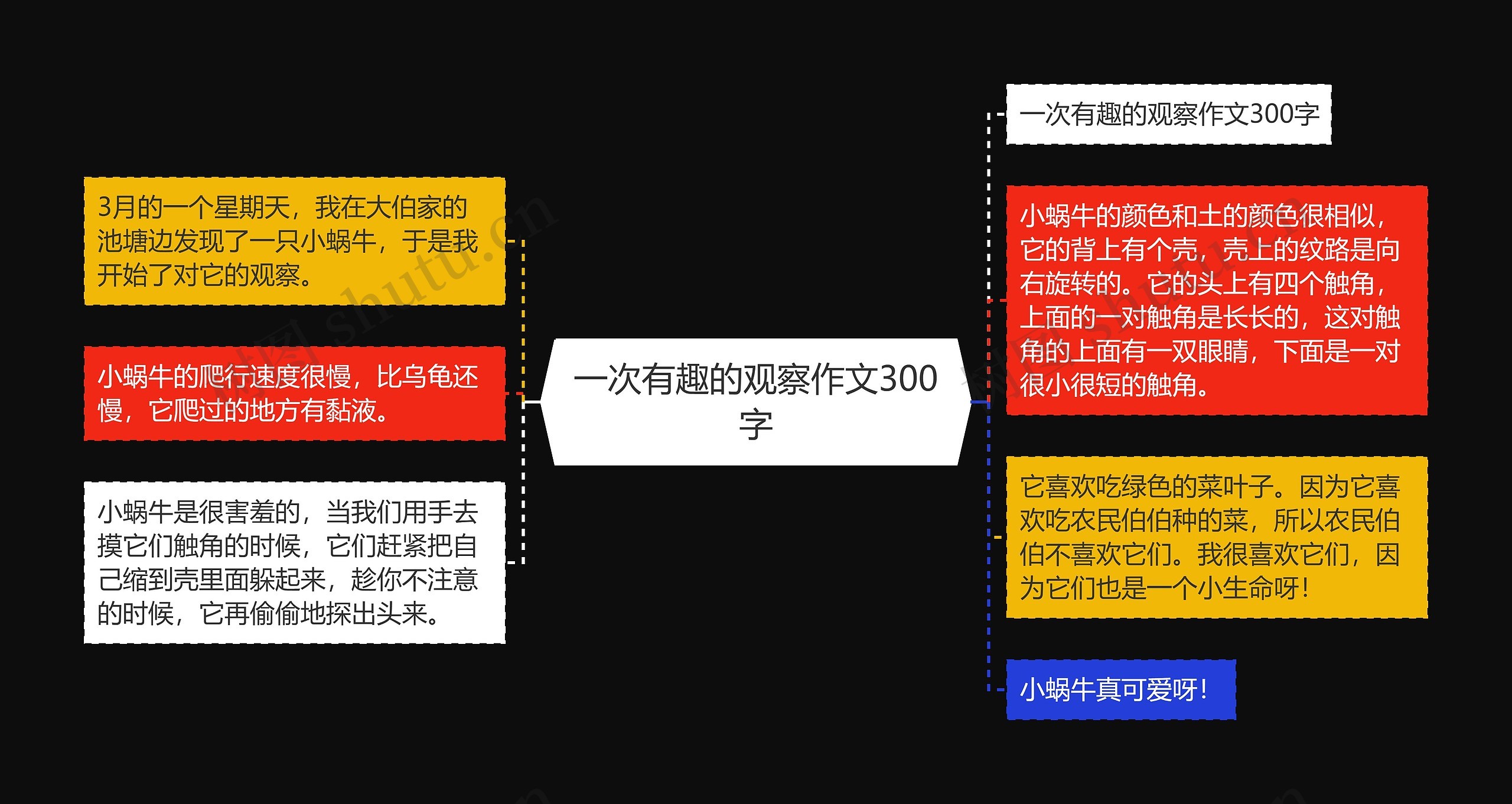 一次有趣的观察作文300字