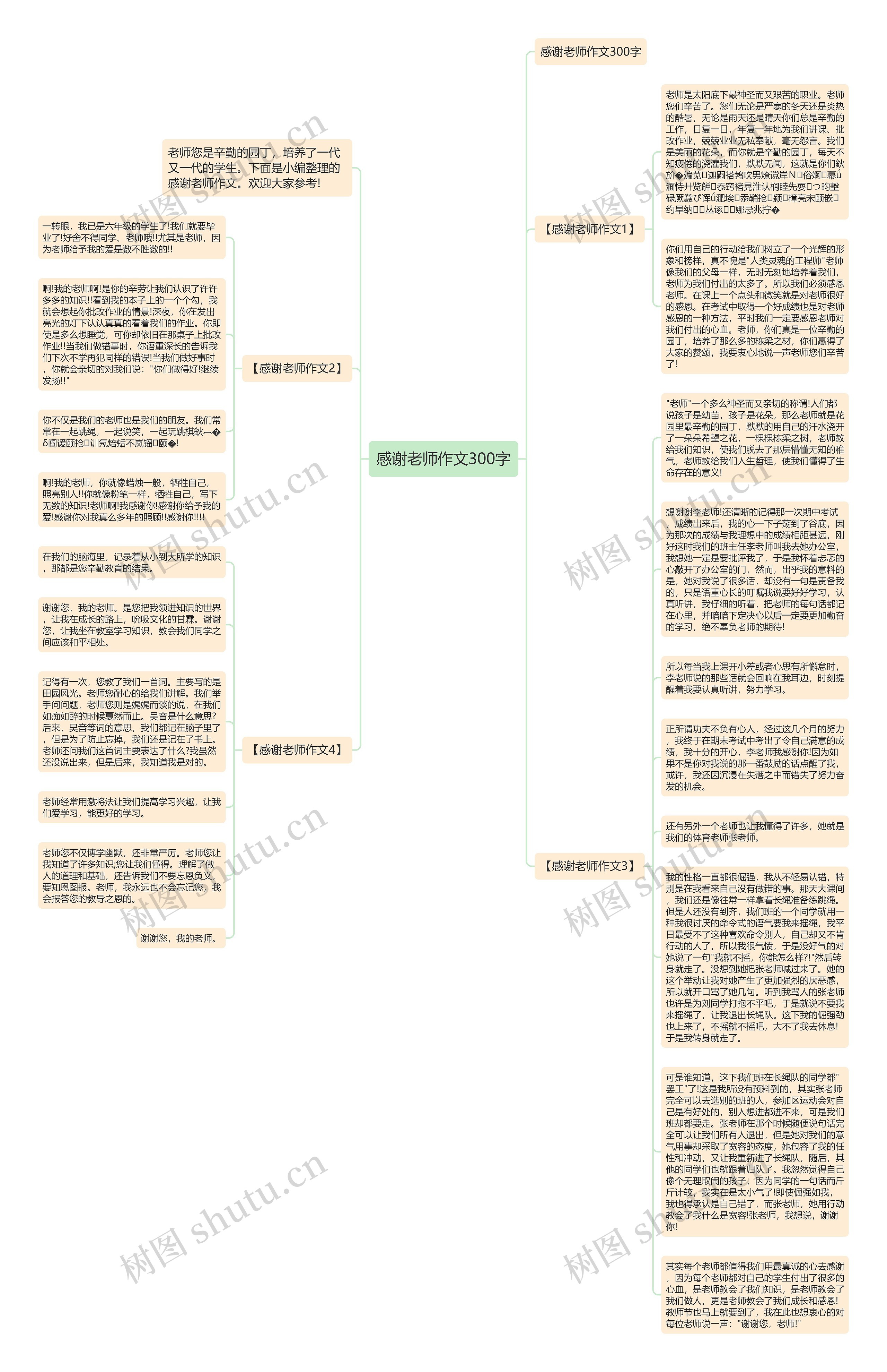 感谢老师作文300字思维导图