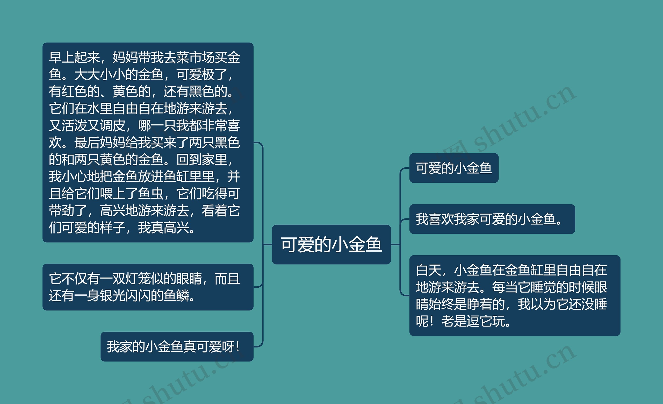 可爱的小金鱼