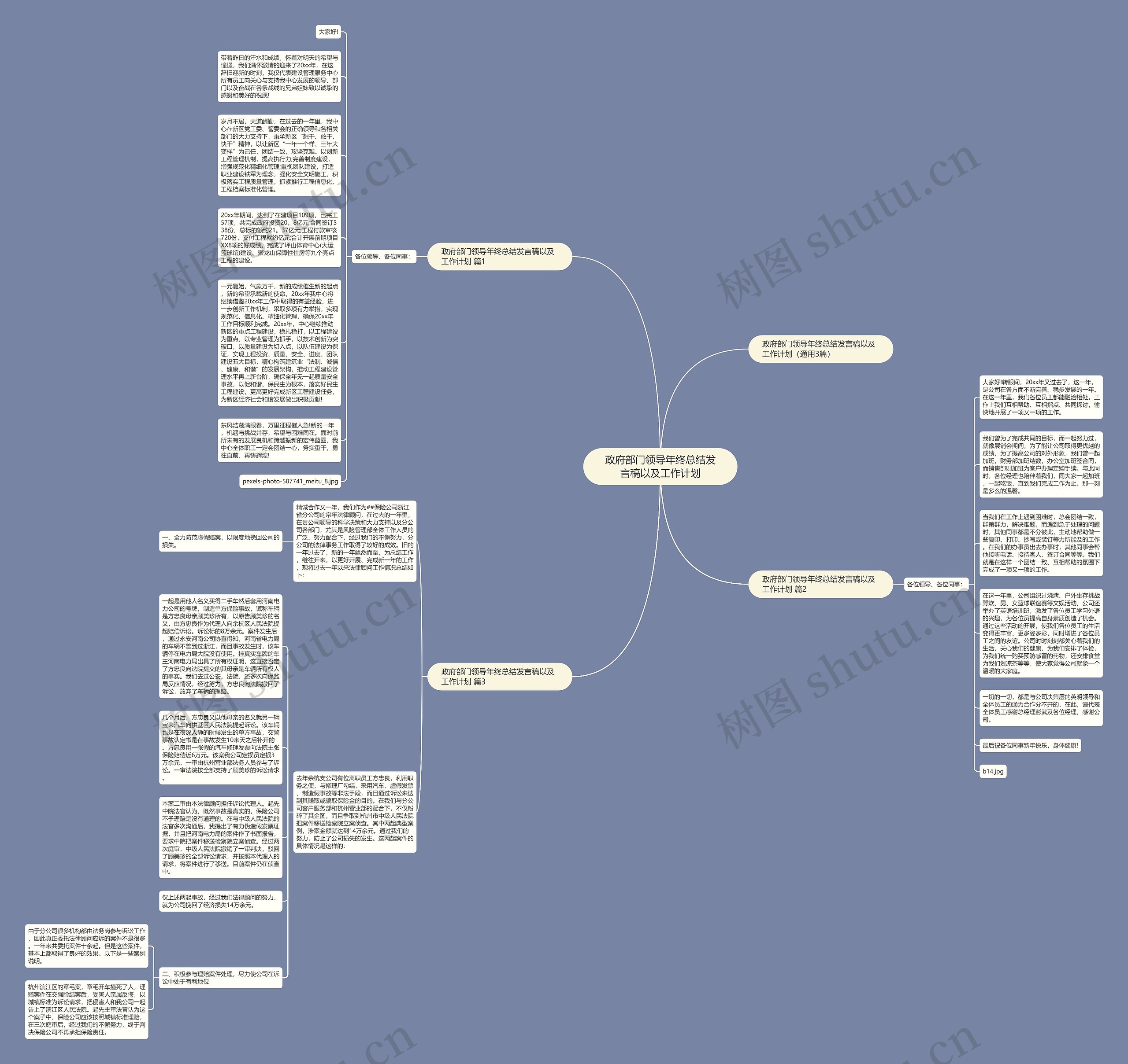 政府部门领导年终总结发言稿以及工作计划思维导图