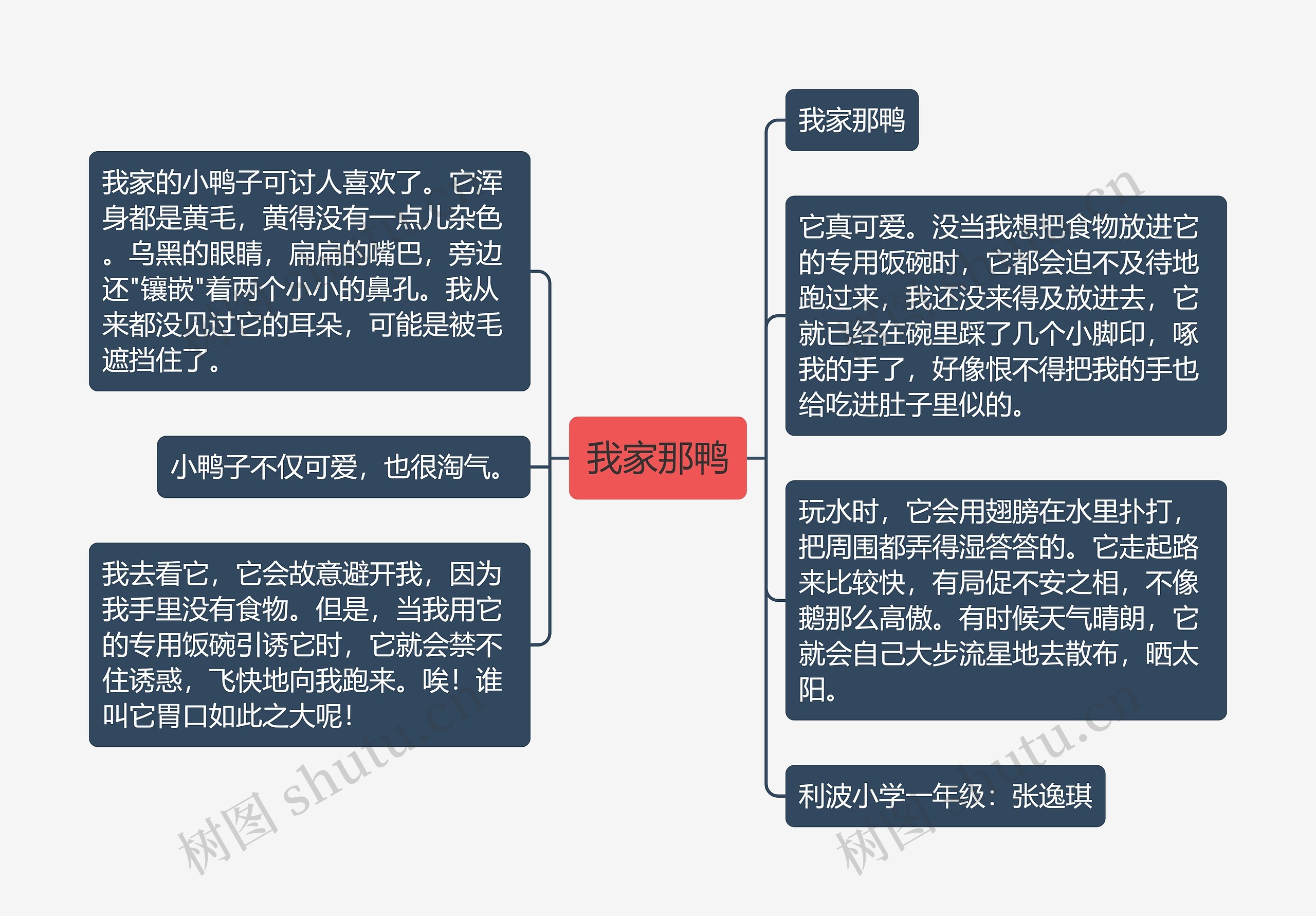 我家那鸭思维导图