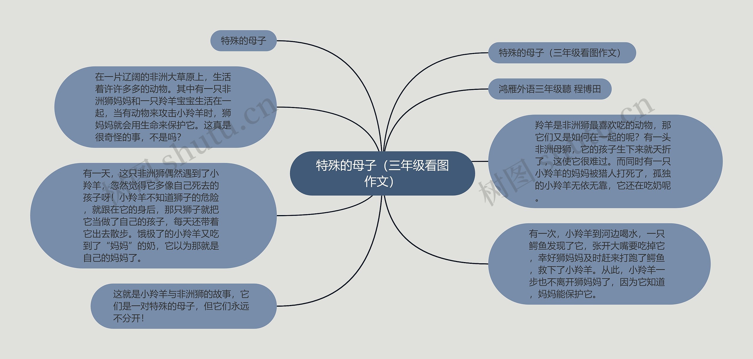 特殊的母子（三年级看图作文）思维导图