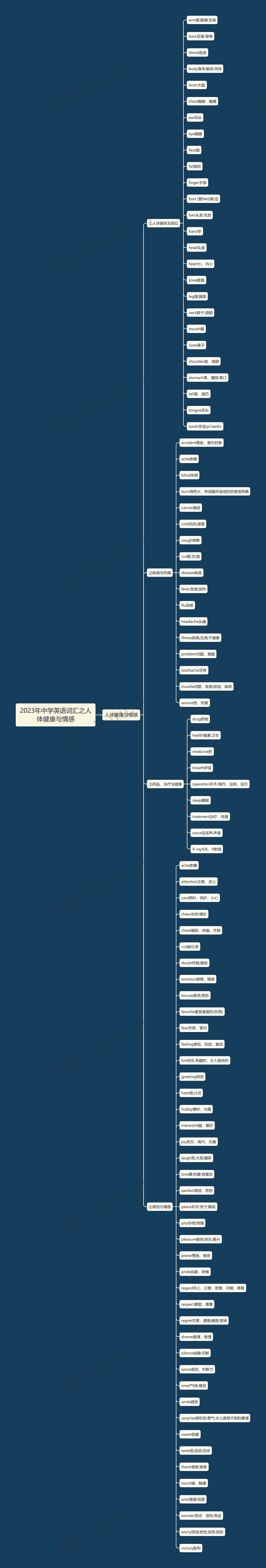 2023年中学英语词汇之人体健康与情感思维导图