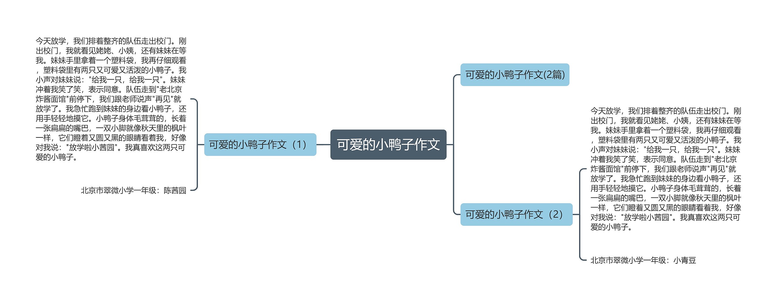 可爱的小鸭子作文 可爱的小鸭子作文