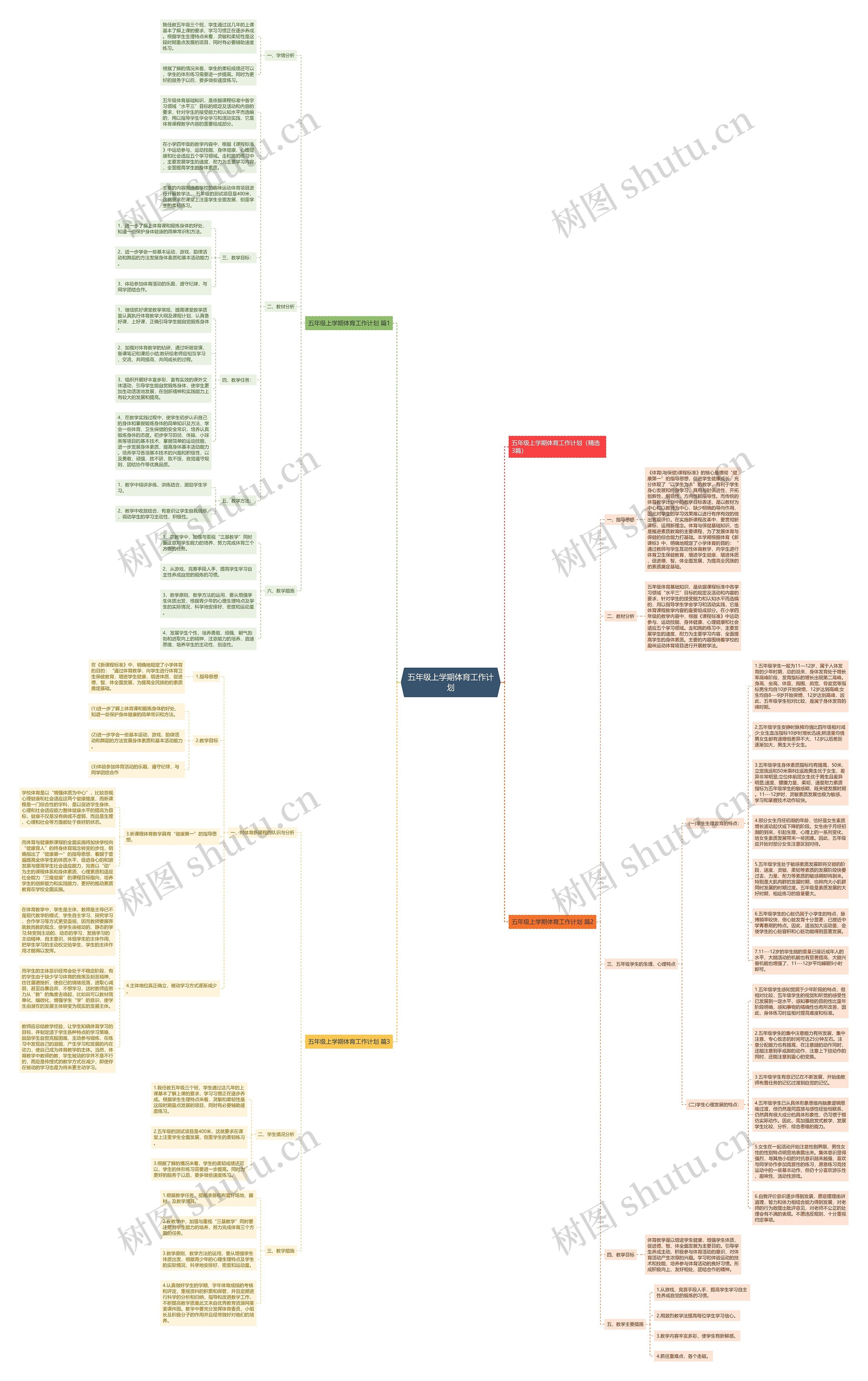五年级上学期体育工作计划思维导图