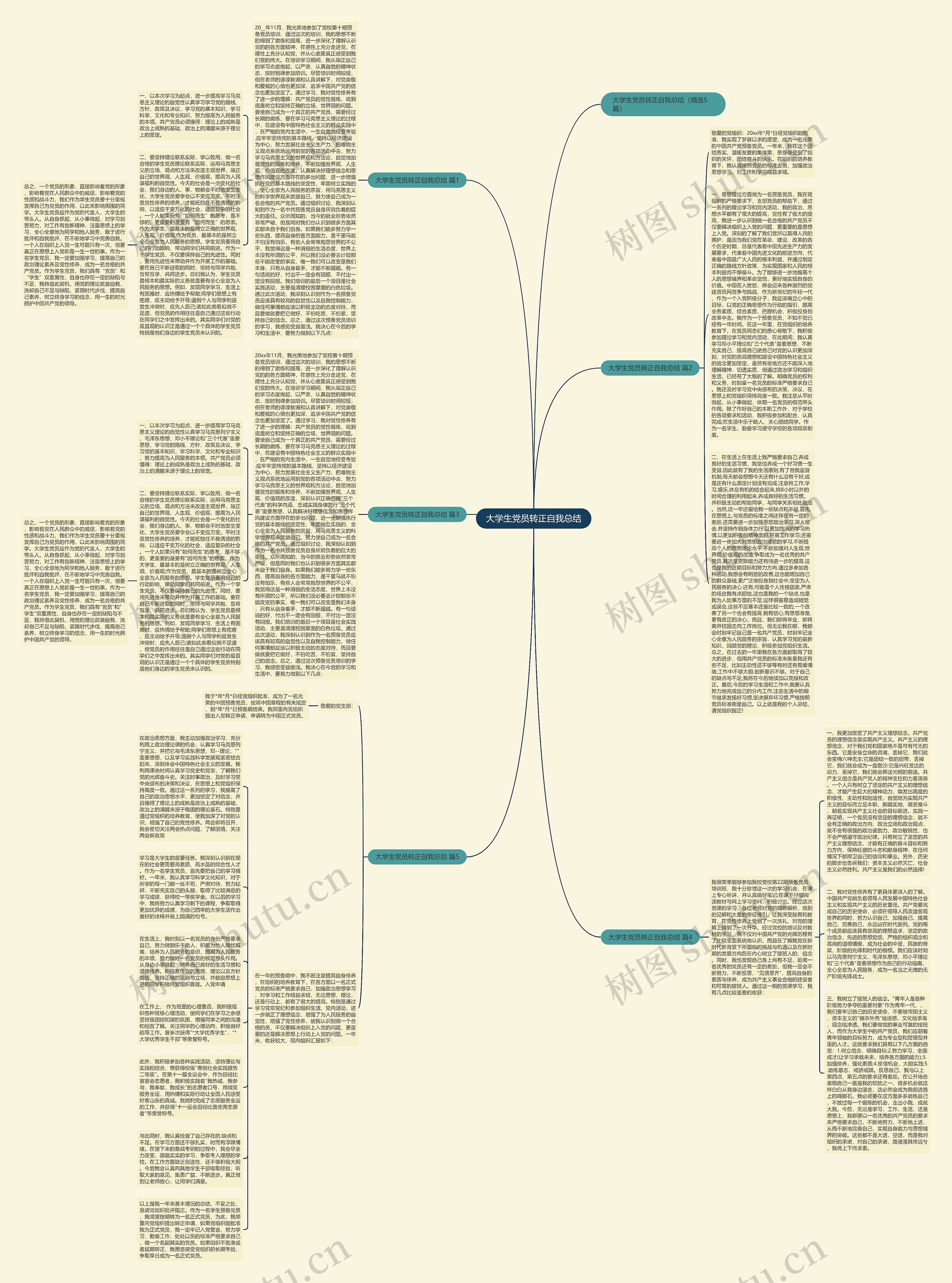 大学生党员转正自我总结思维导图