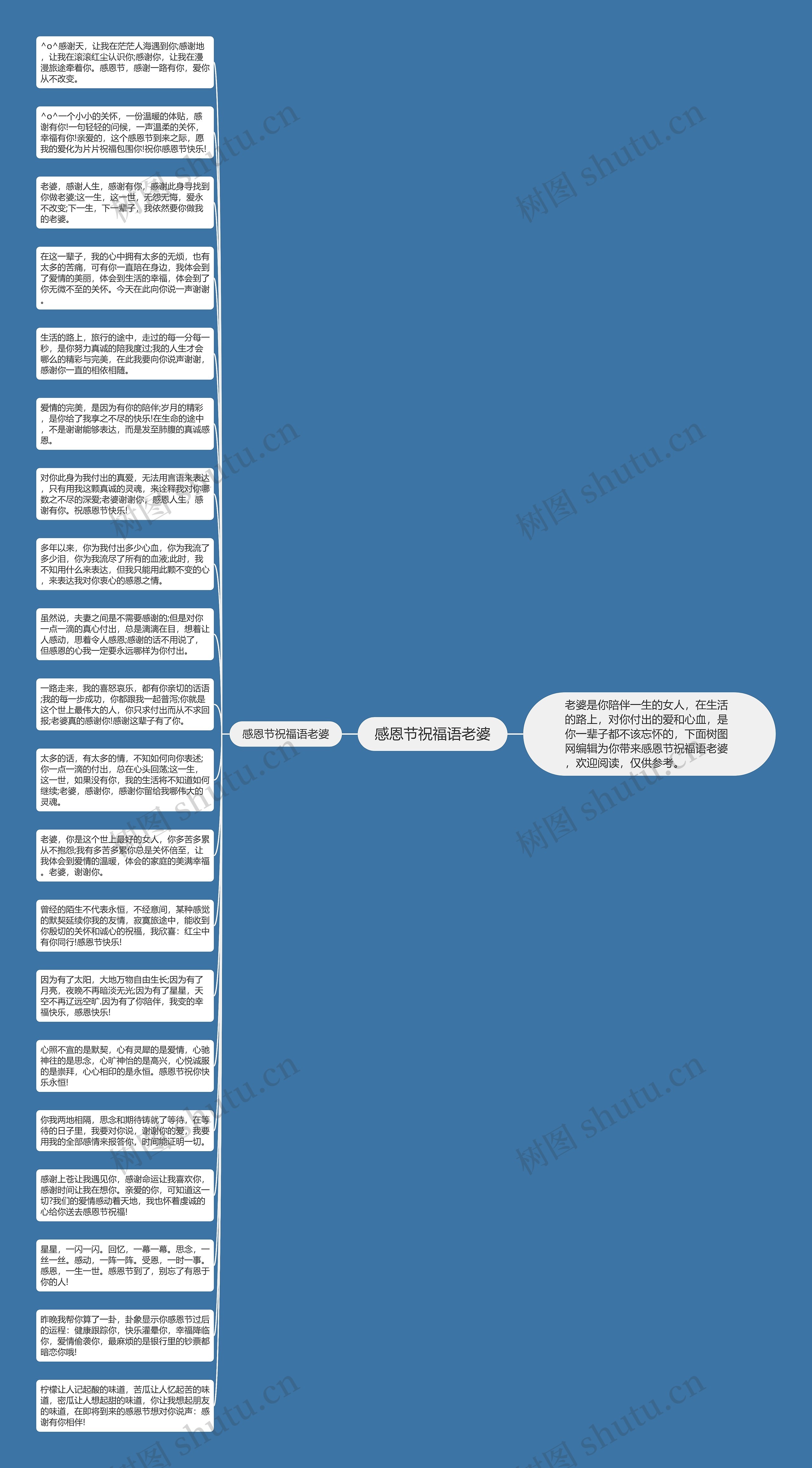 感恩节祝福语老婆思维导图