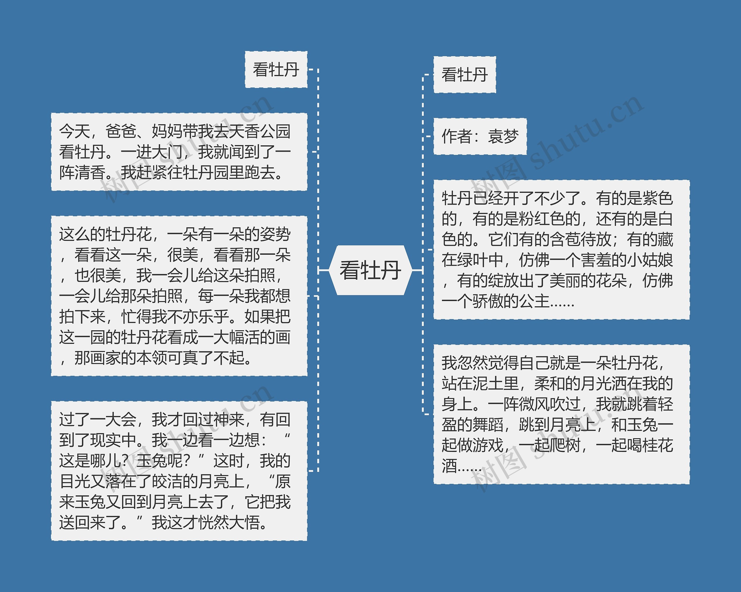 看牡丹思维导图