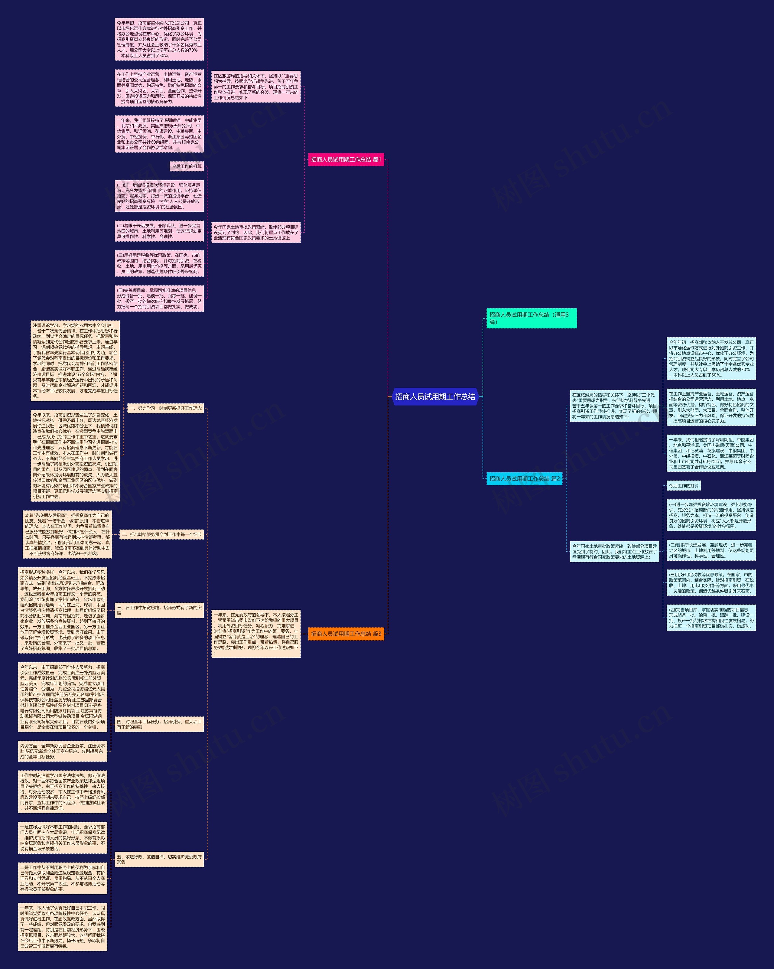 招商人员试用期工作总结思维导图