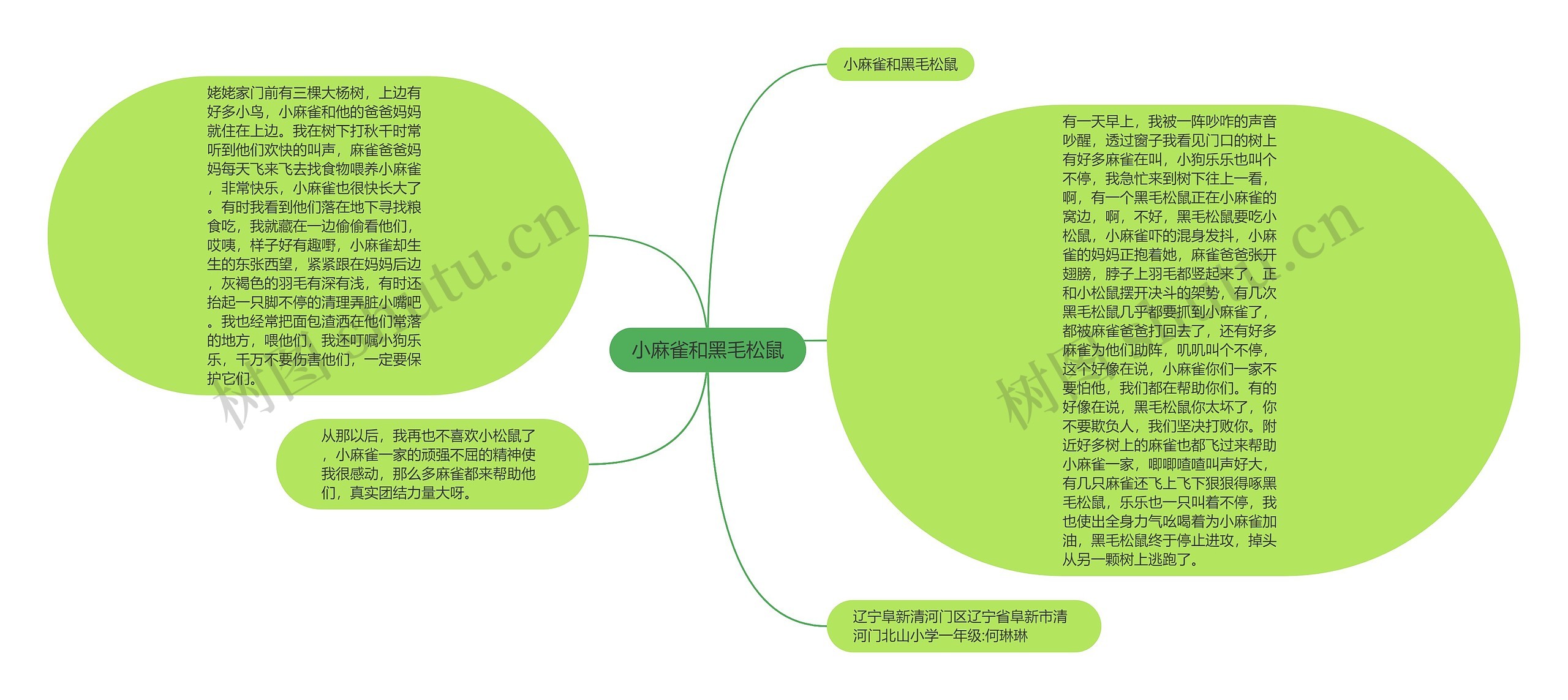 小麻雀和黑毛松鼠思维导图