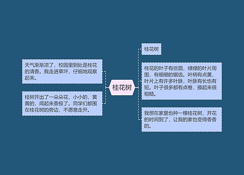 桂花树