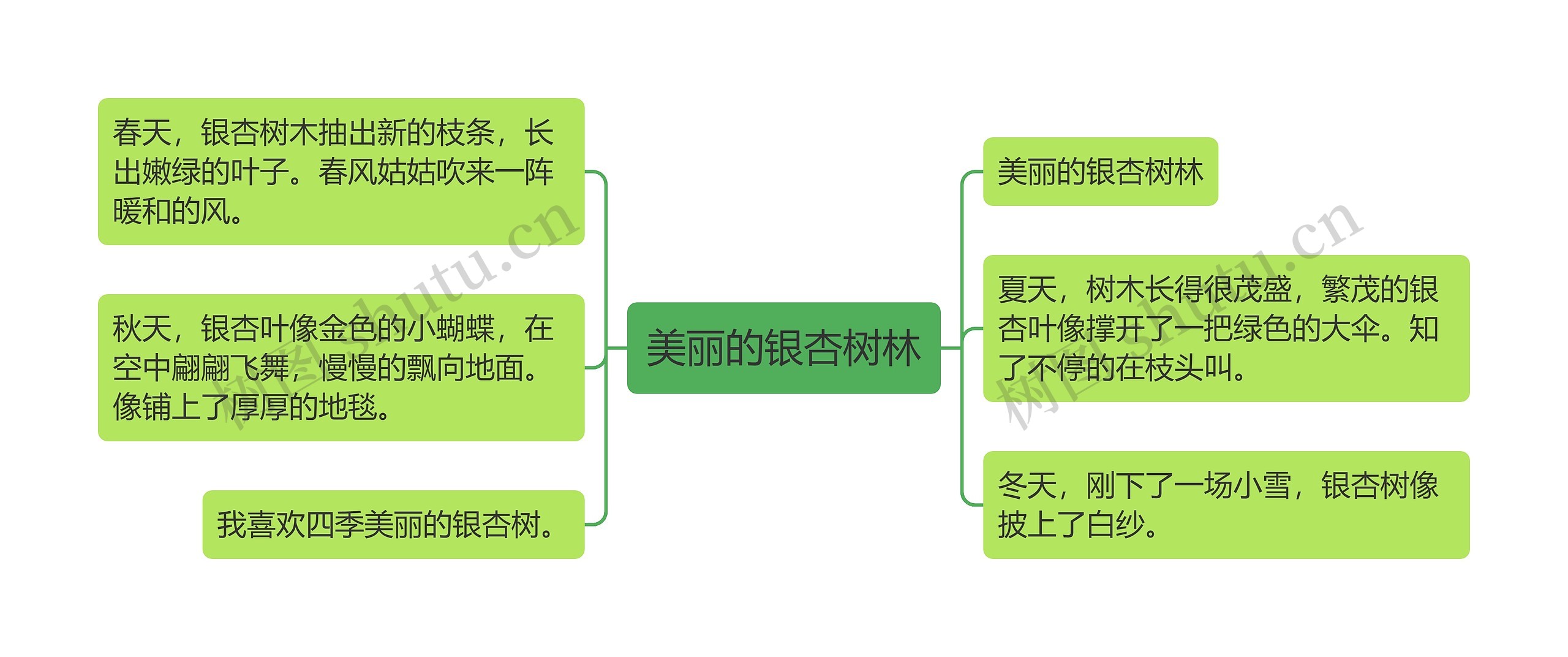 美丽的银杏树林思维导图