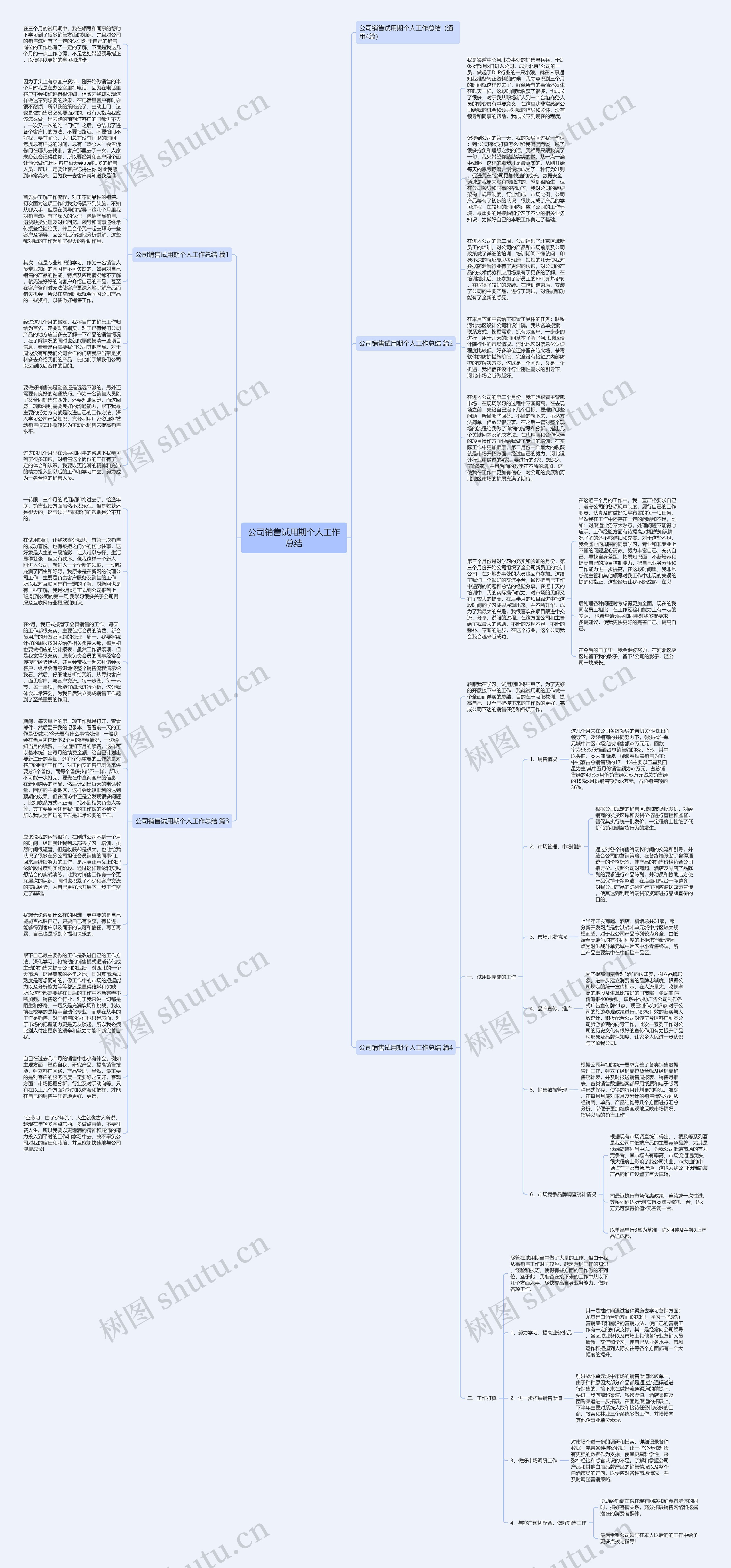 公司销售试用期个人工作总结思维导图