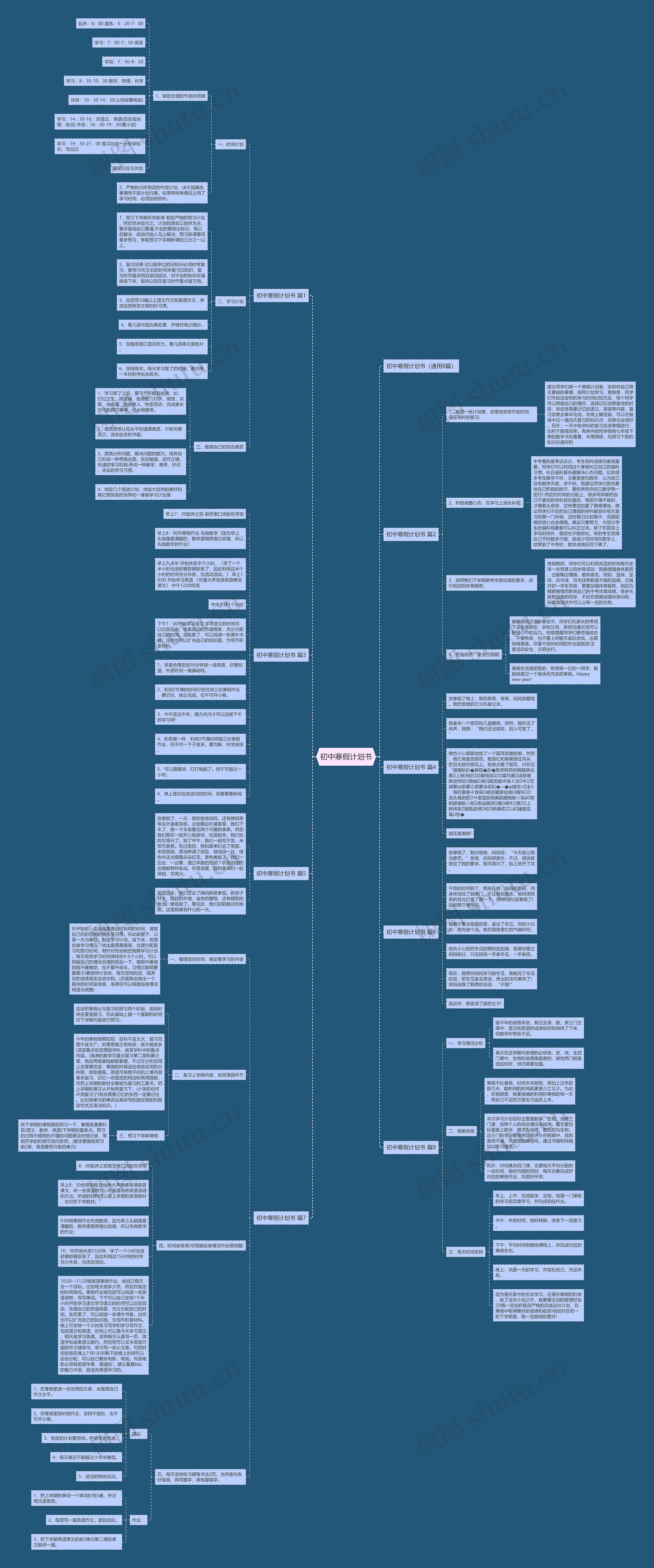 初中寒假计划书思维导图