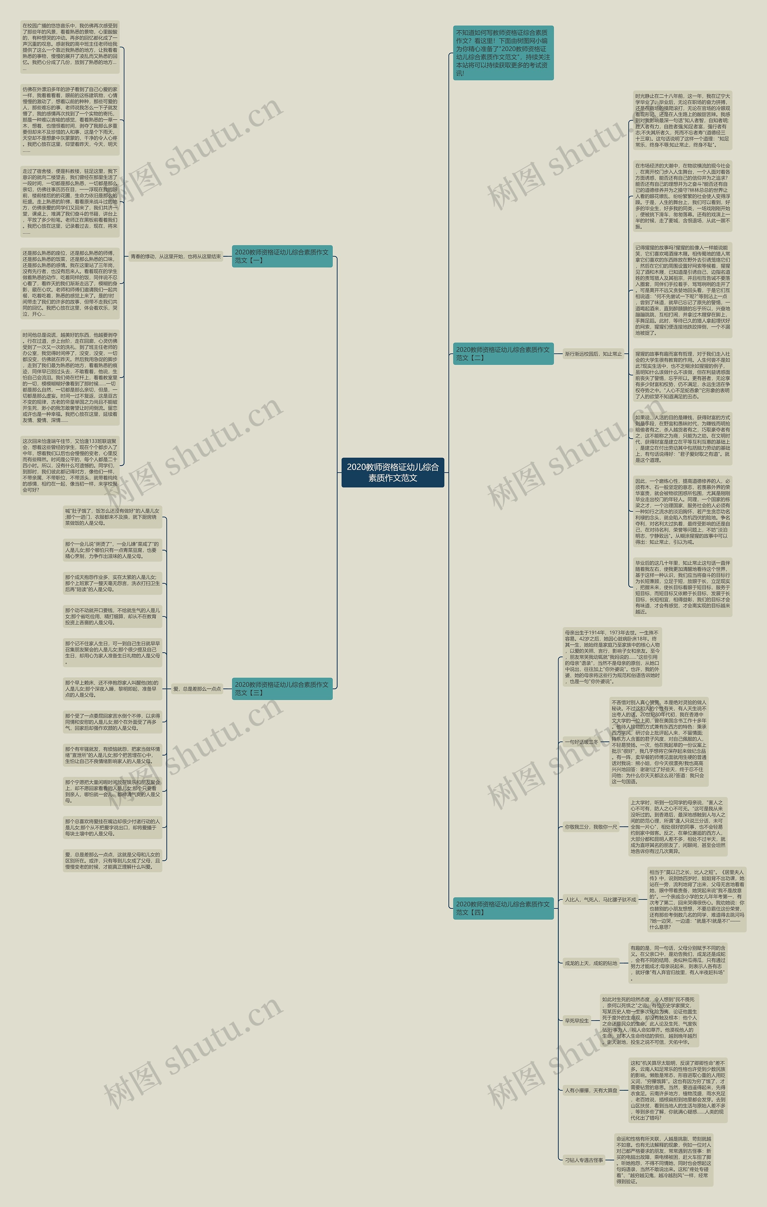 2020教师资格证幼儿综合素质作文范文思维导图