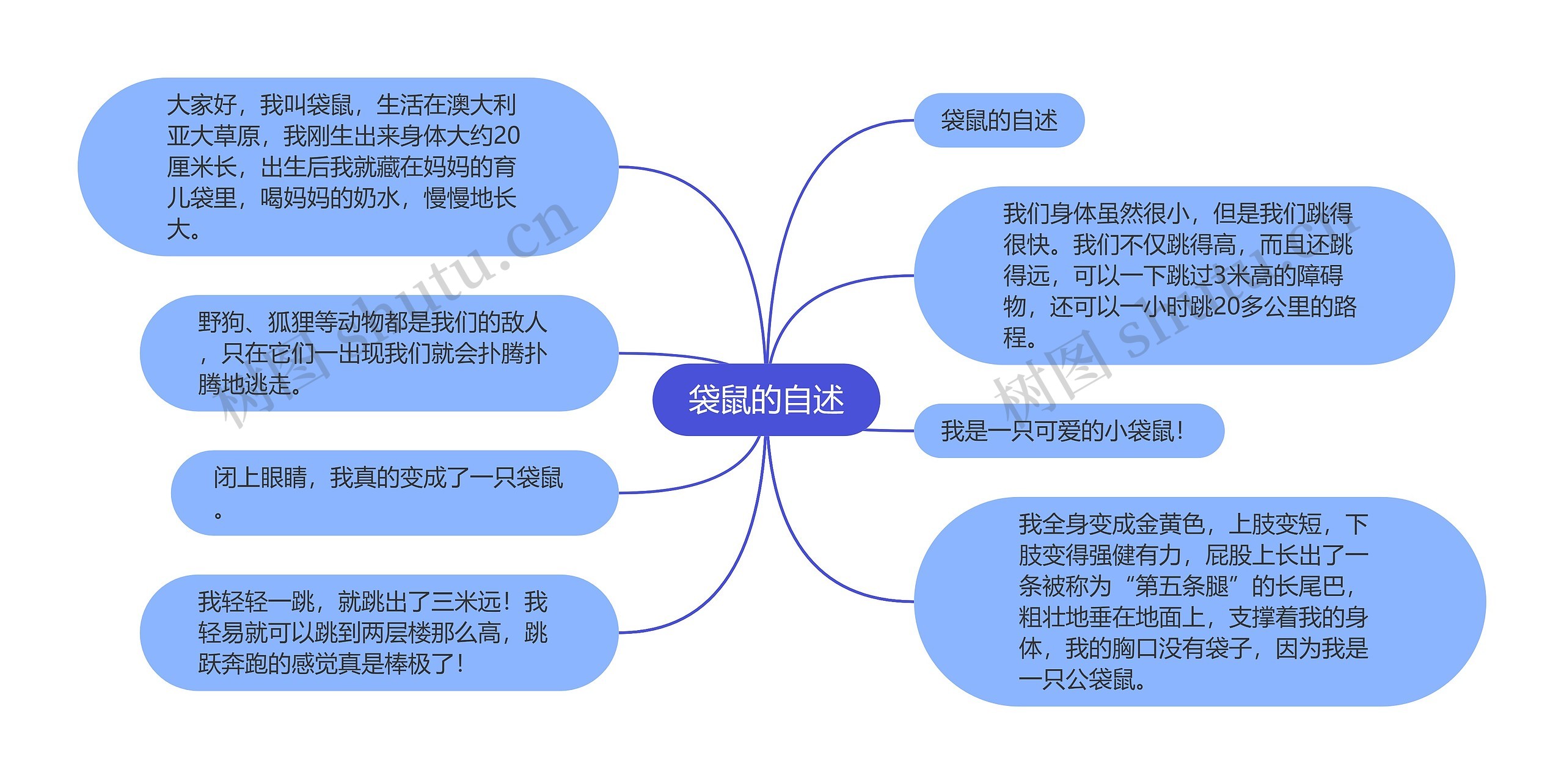 袋鼠的自述