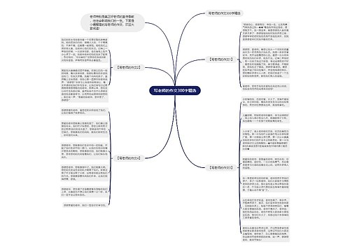 写老师的作文300字精选