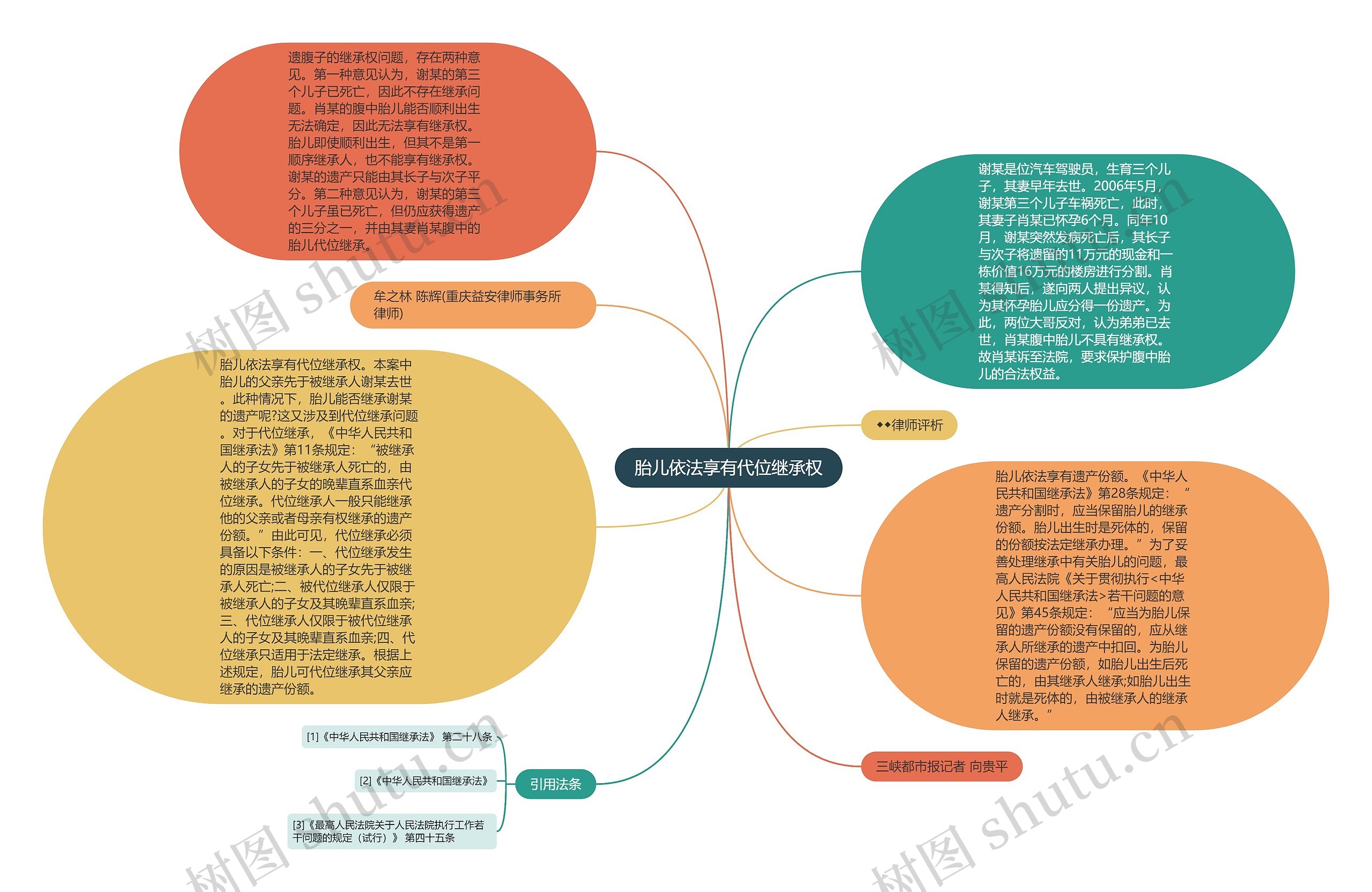 胎儿依法享有代位继承权思维导图